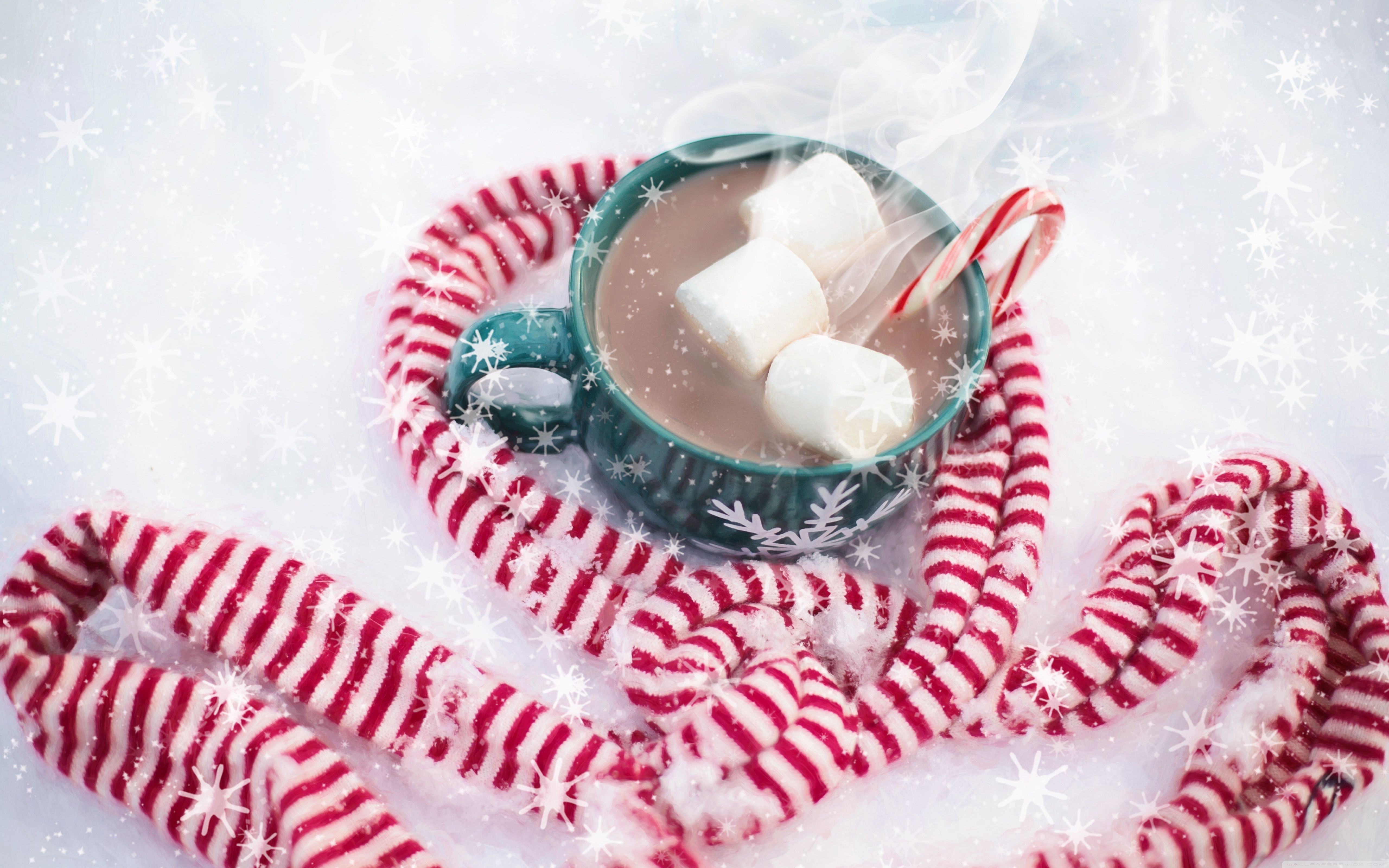 Christmas Hot Chocolate With Marshmallows ❤ 4K HD Desktop