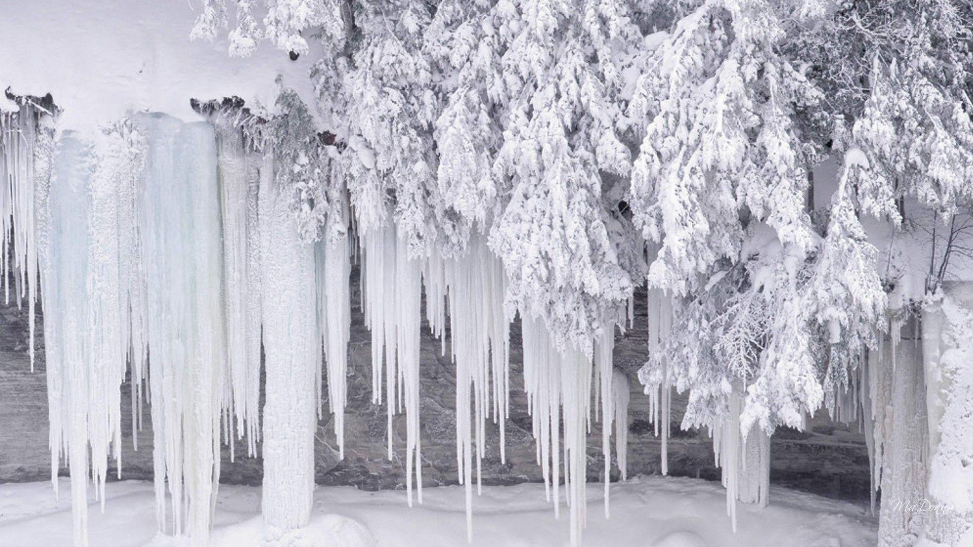 Winter: Cold Ice Snow Trees Icicles Waterfall Gets Freeze Winter