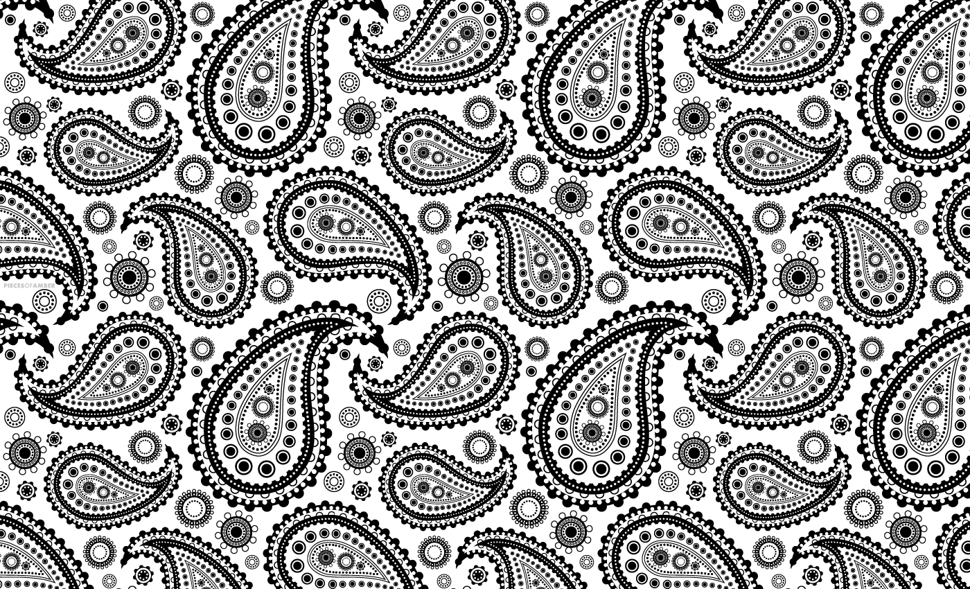 Black And White Paisley Bandana Pattern image