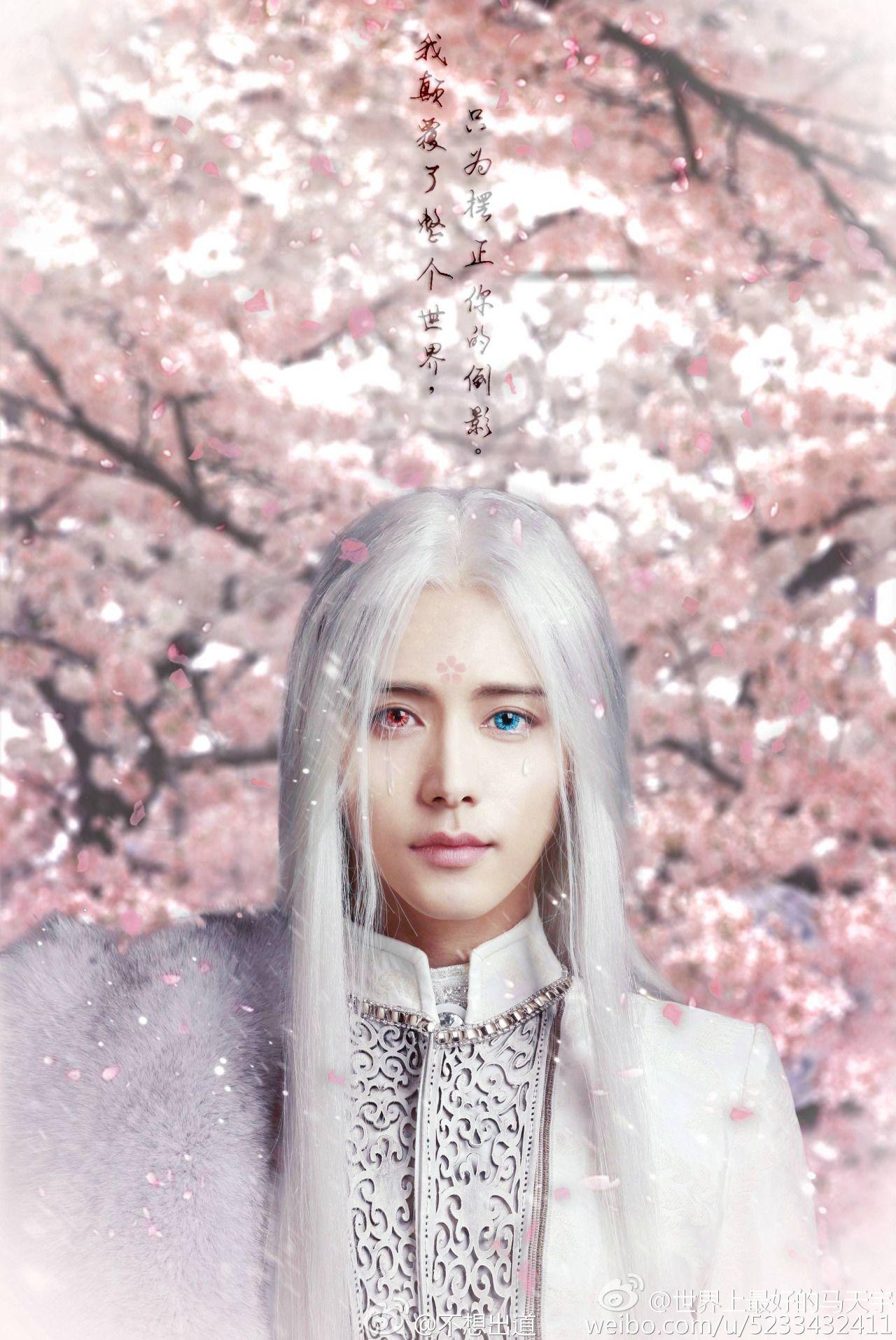 Elegant prince shi