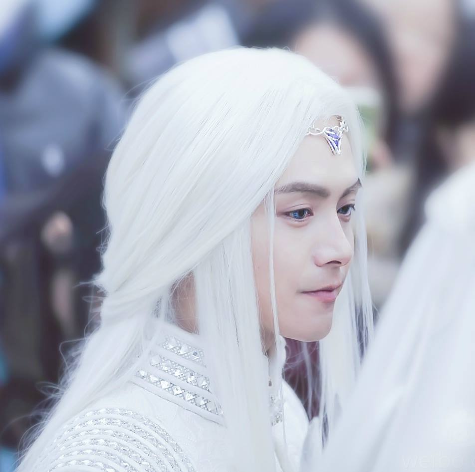A side view of Prince Ying Kong Shi. Ice Fantasy