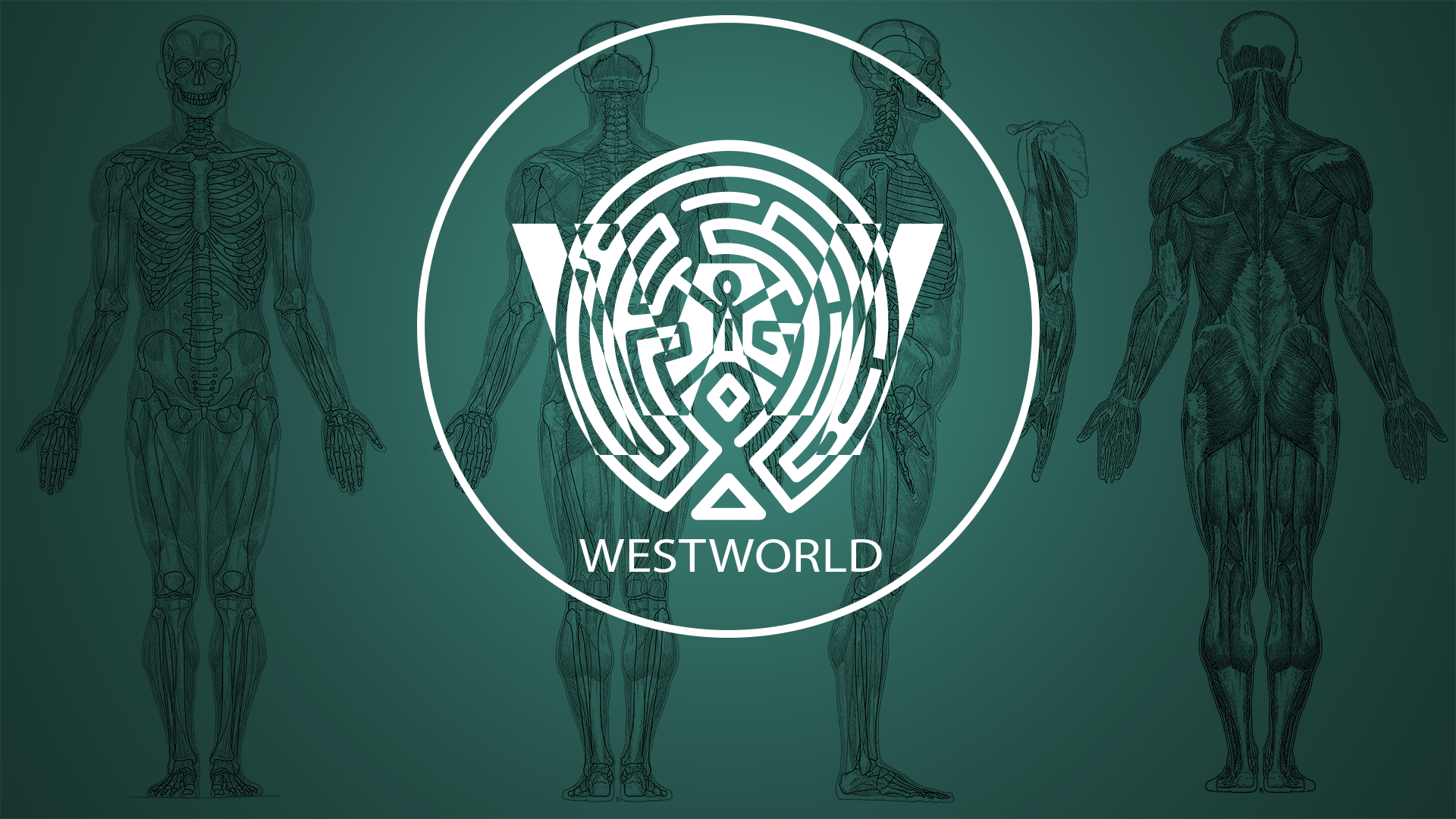 Any Westworld fans here?[1920x1080]. HD wallpaper, Wallpaper