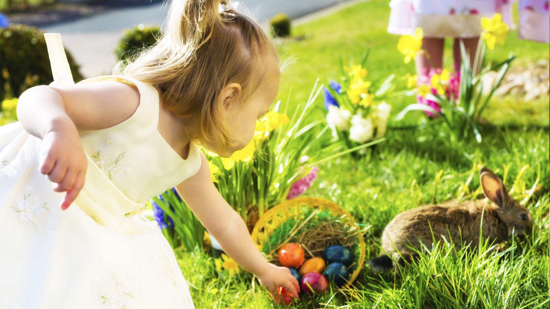 Easter Decorations Ideas HD Wallpaper & Image Download Free