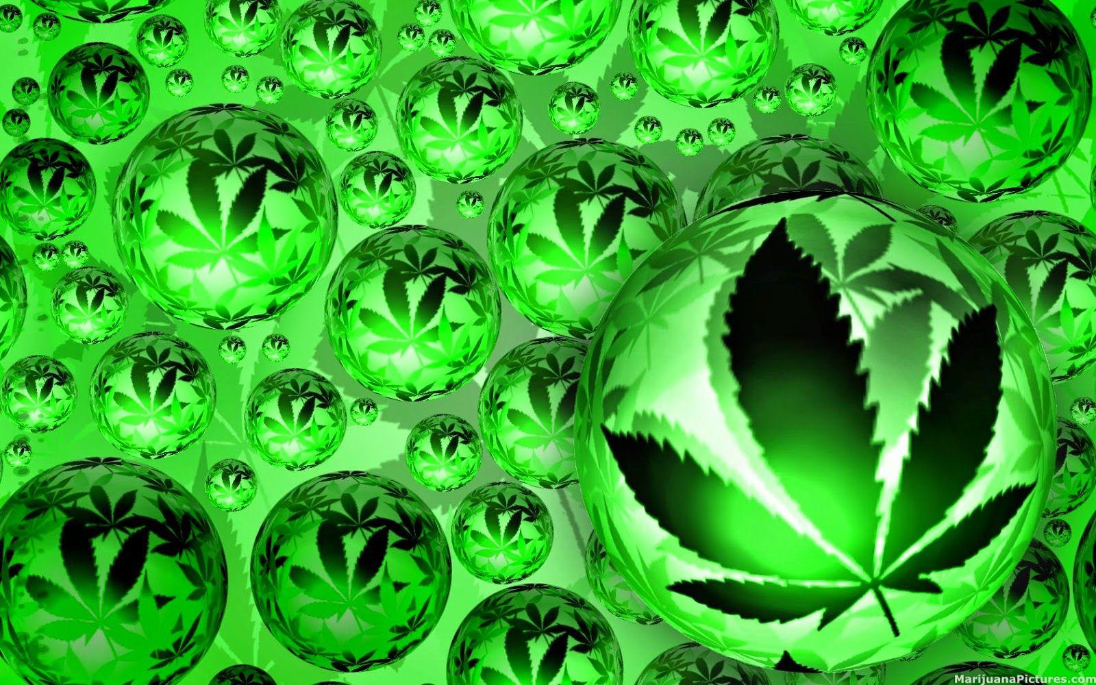 Tv show weeds Marijuana wallpaper weed wallpaper