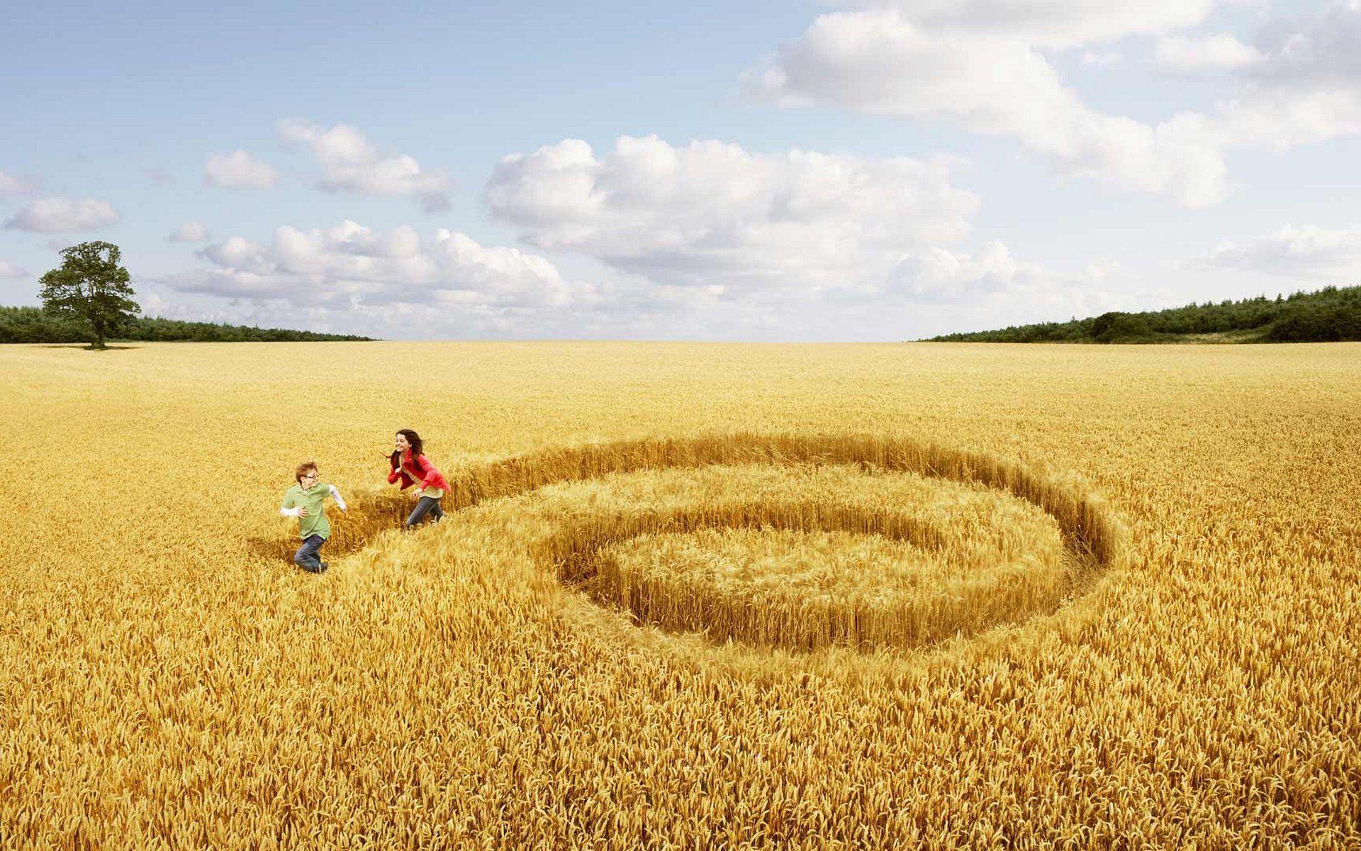 Wallpaper Spiral In A Field By Sister And Brother x 1200