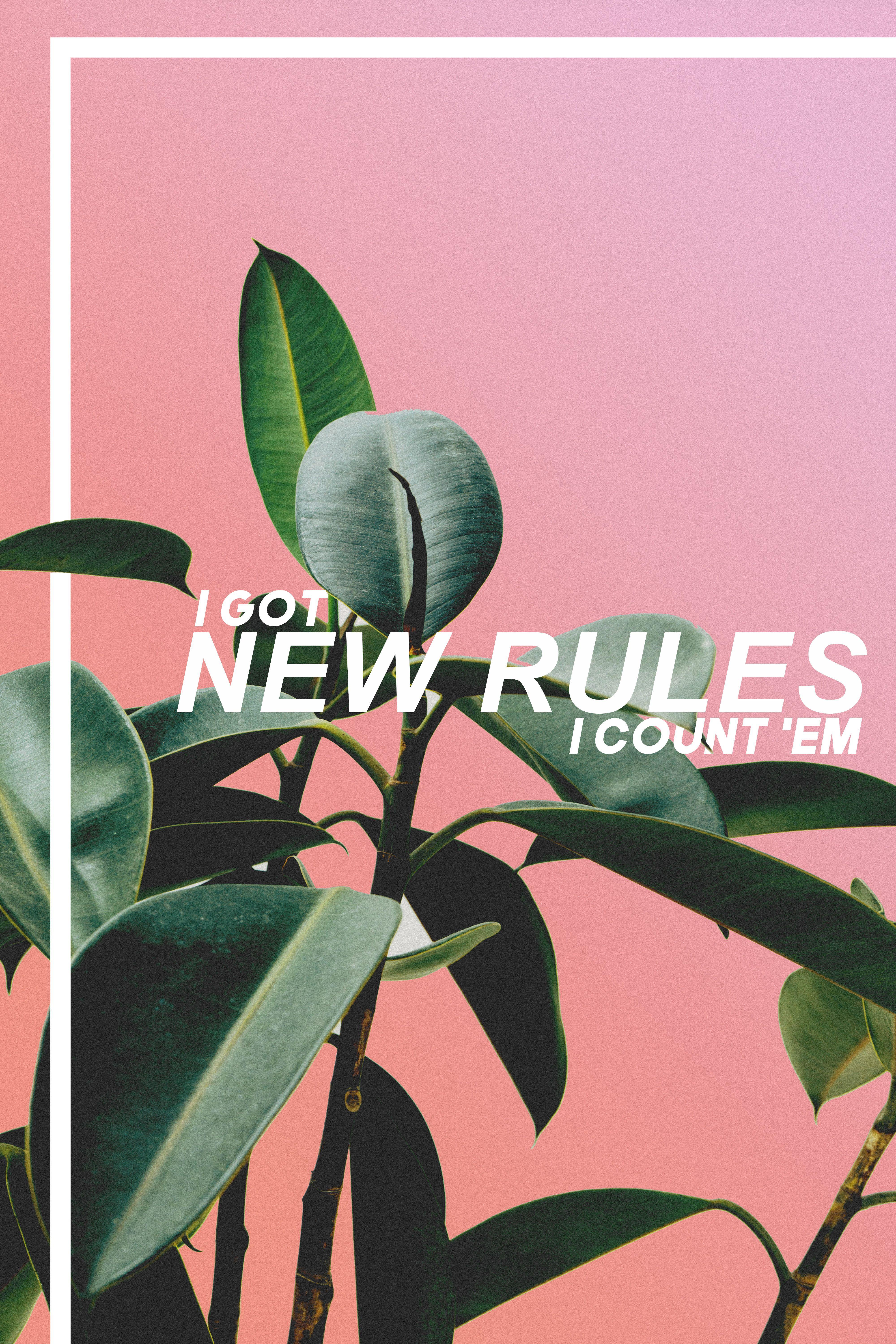 New Rules // Dua Lipa /BESTCAPSLYRICS. Music