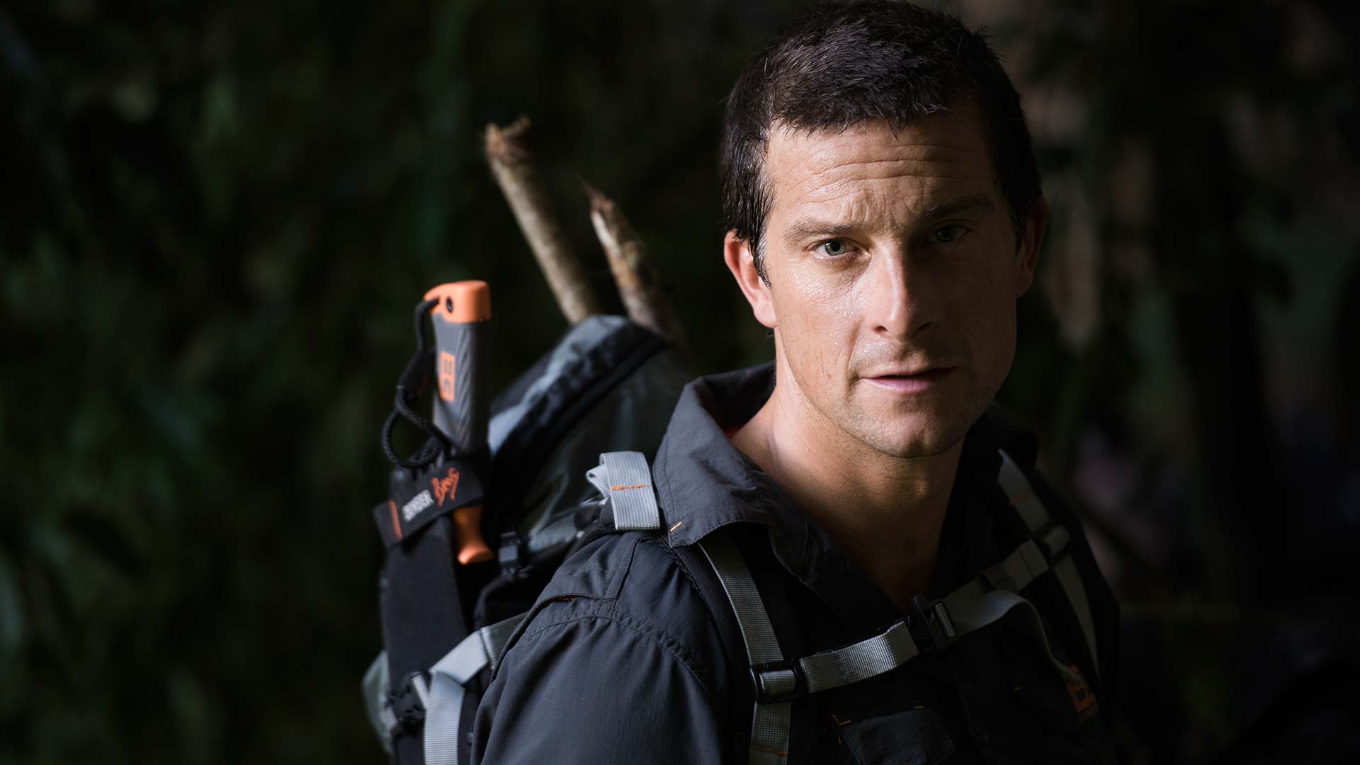 Trees and Insects. Bear Grylls: Breaking Point