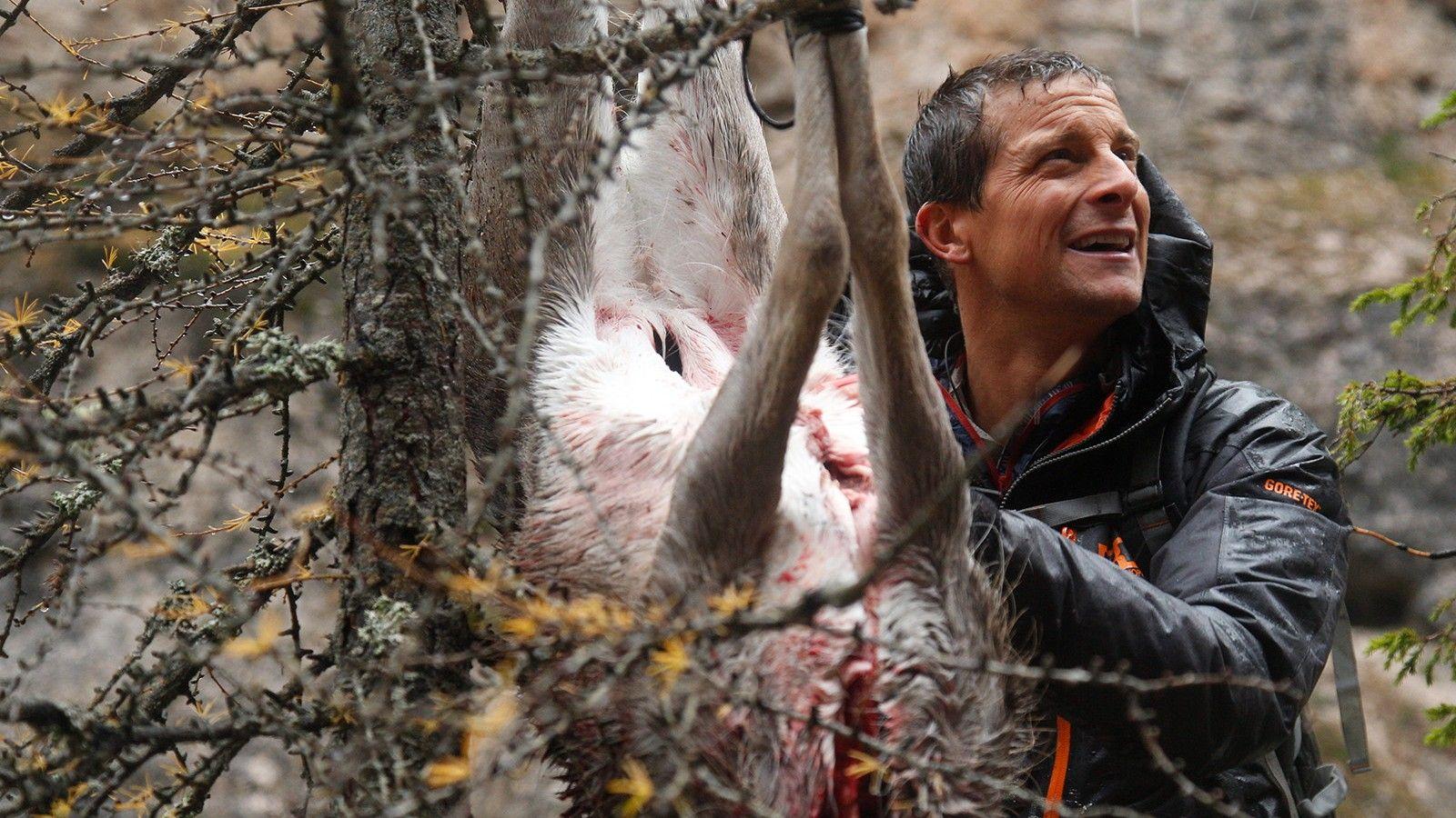 Born surviver Bear Grylls eat different kinds of thing you can see