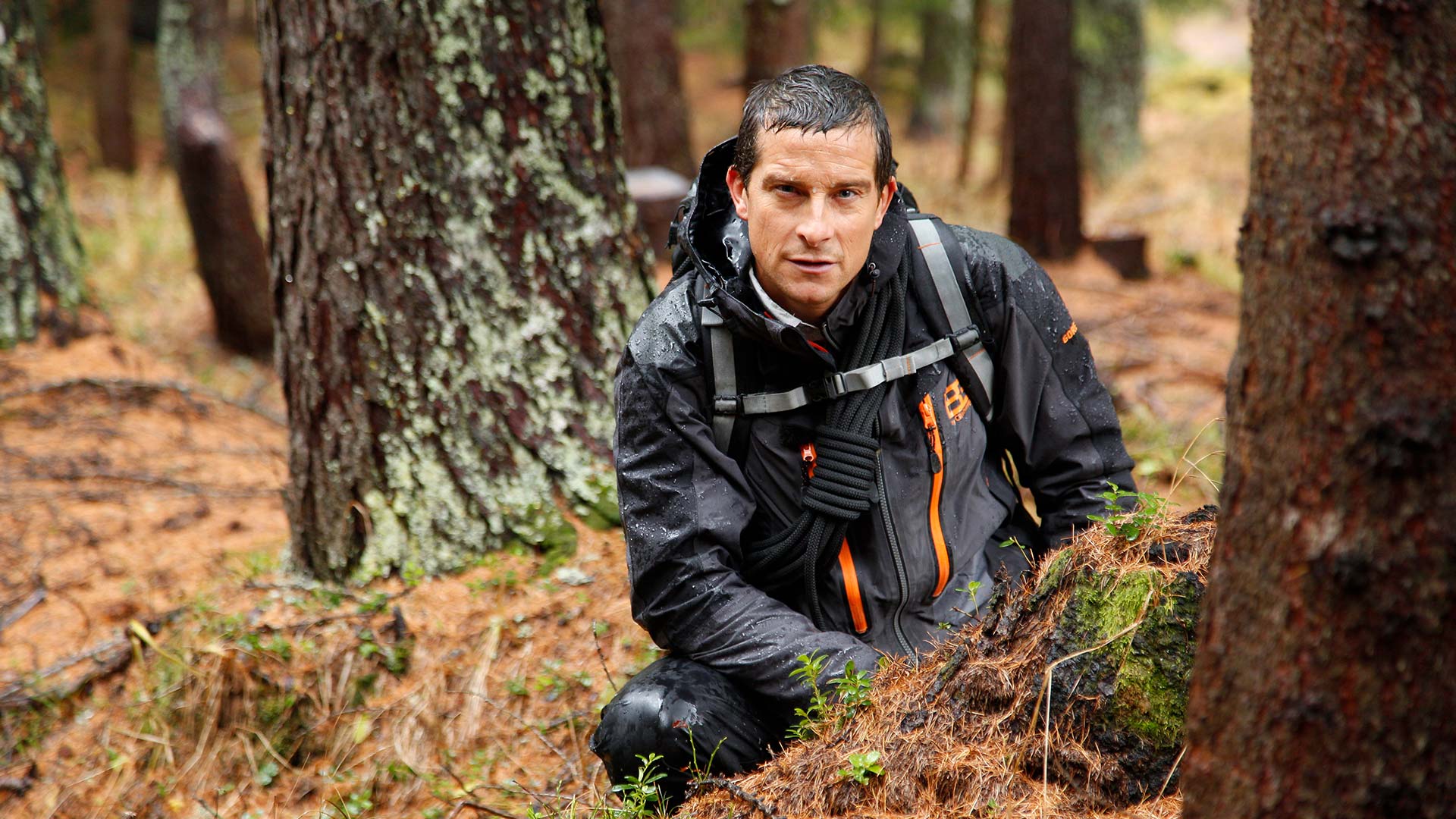 Выживание в лесу Bear Grylls