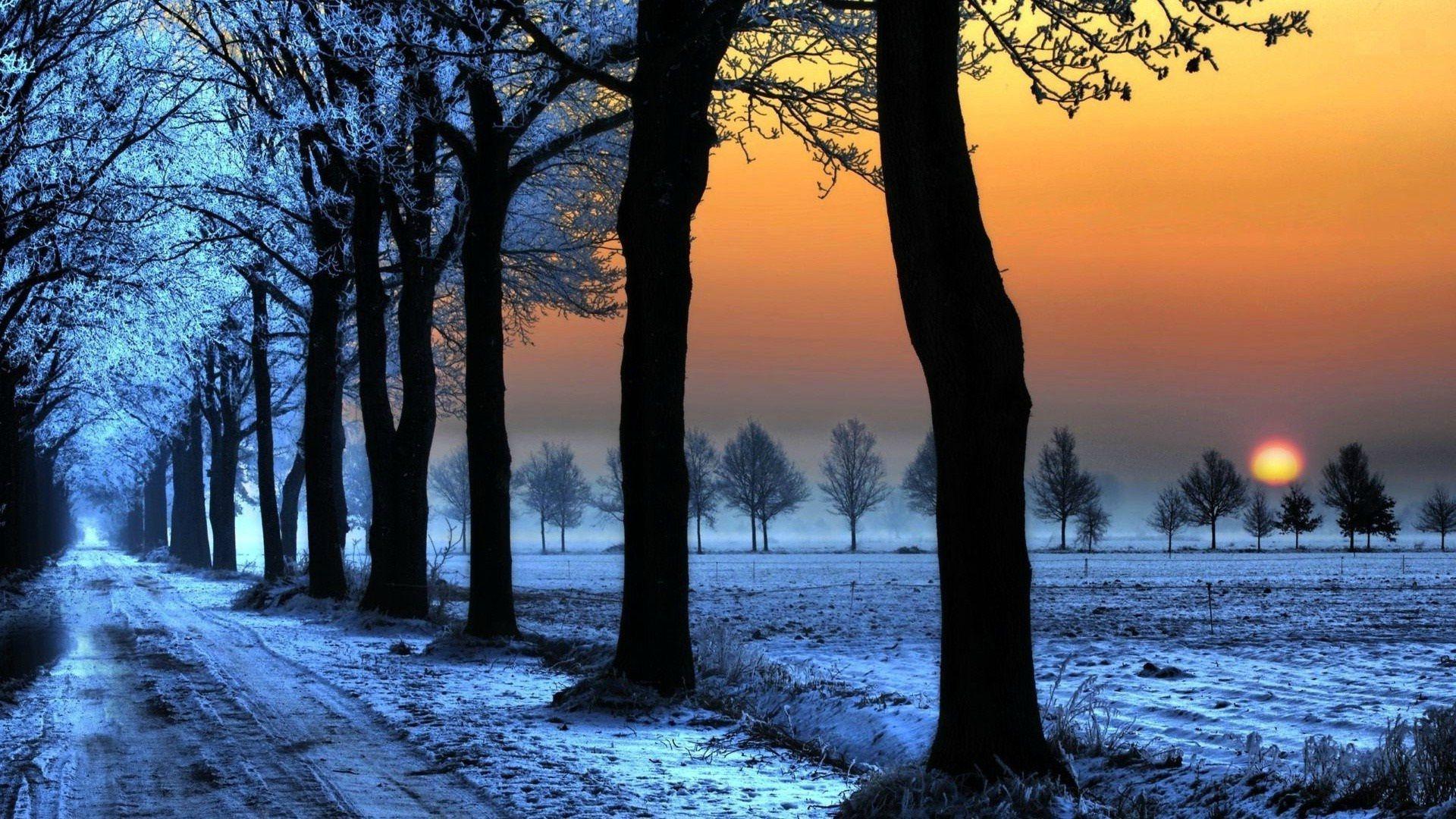 Winter Sunset HD Wallpaper. Sunset photography nature, Sunset nature, Sunset wallpaper