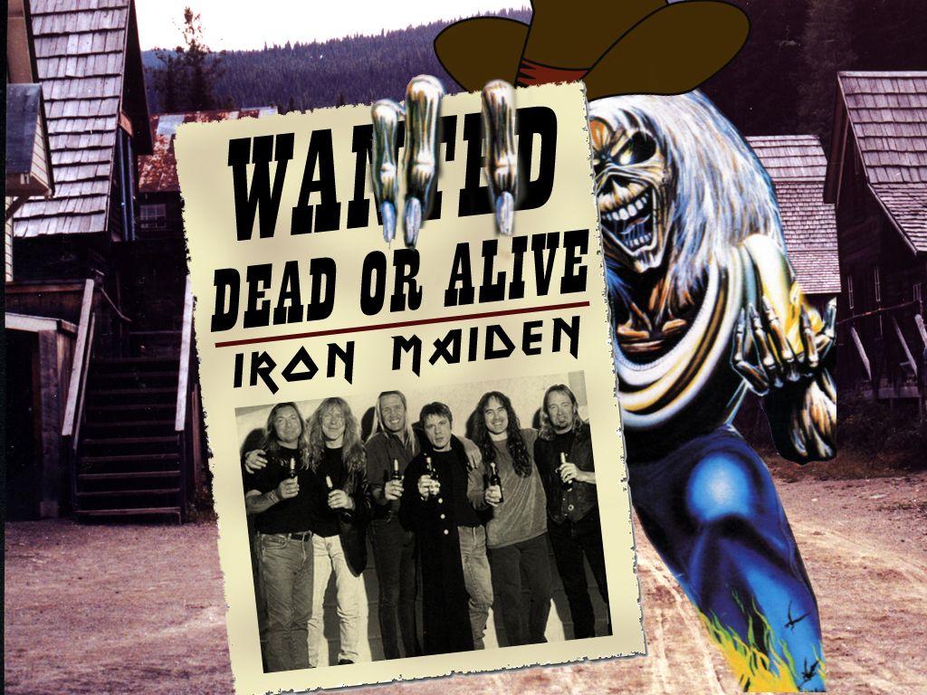 kacey's 1024 x 768 Wallpaper