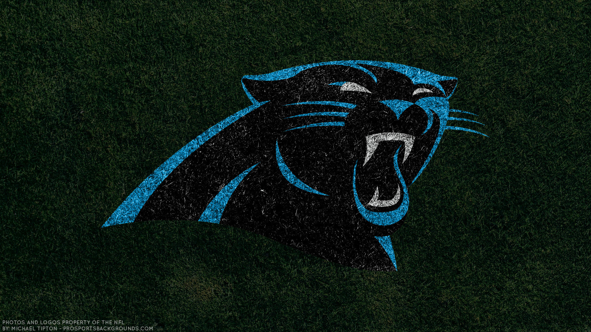 Carolina Panthers Wallpaper. iPhone. Android