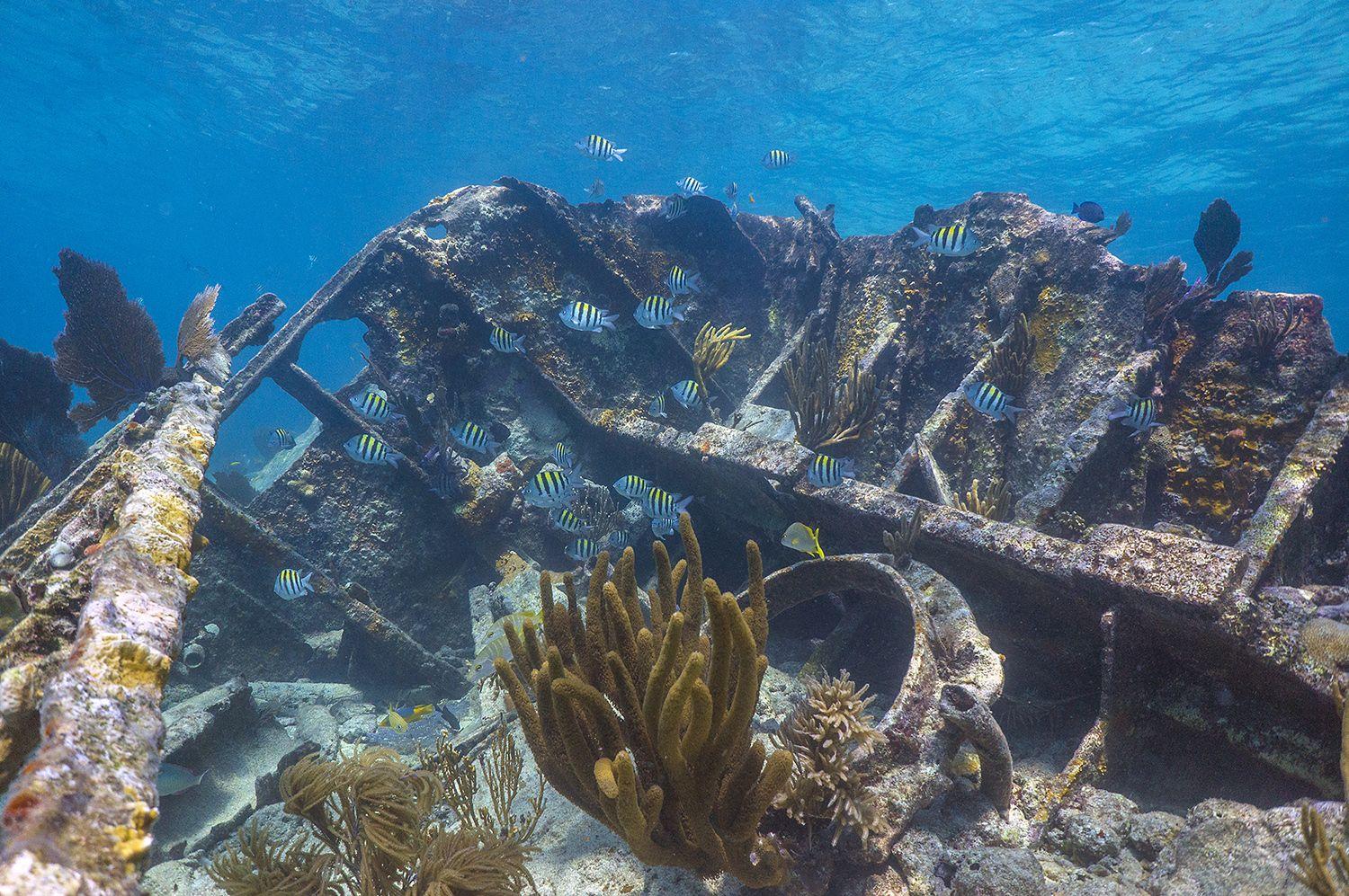 Biscayne National Park Wallpapers - Wallpaper Cave