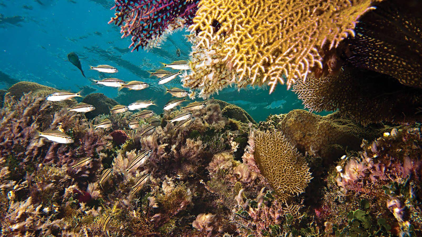 Biscayne National Park Wallpapers - Wallpaper Cave