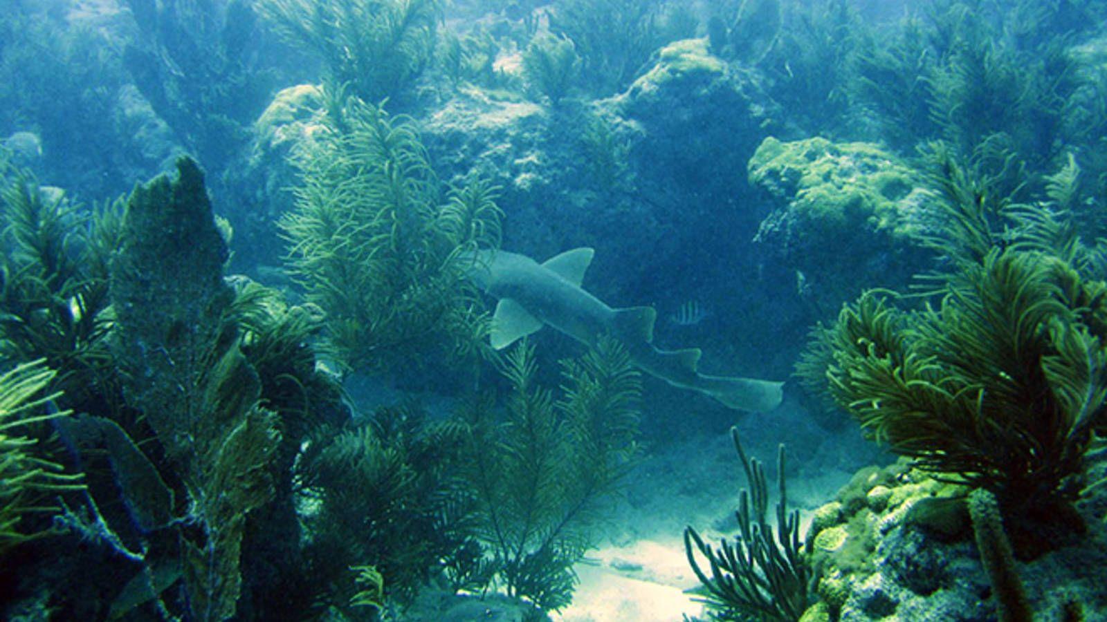 Biscayne National Park Wallpapers - Wallpaper Cave