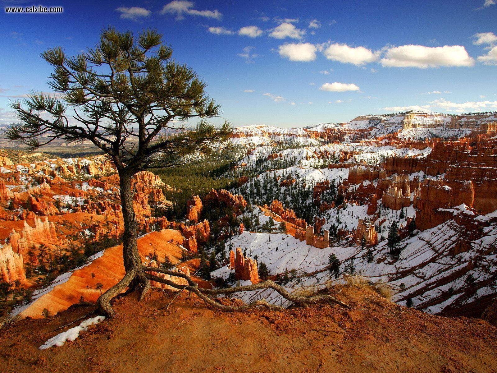 Nature: Aloneonthe Rim Bryce Canyon National Park Utah, picture nr