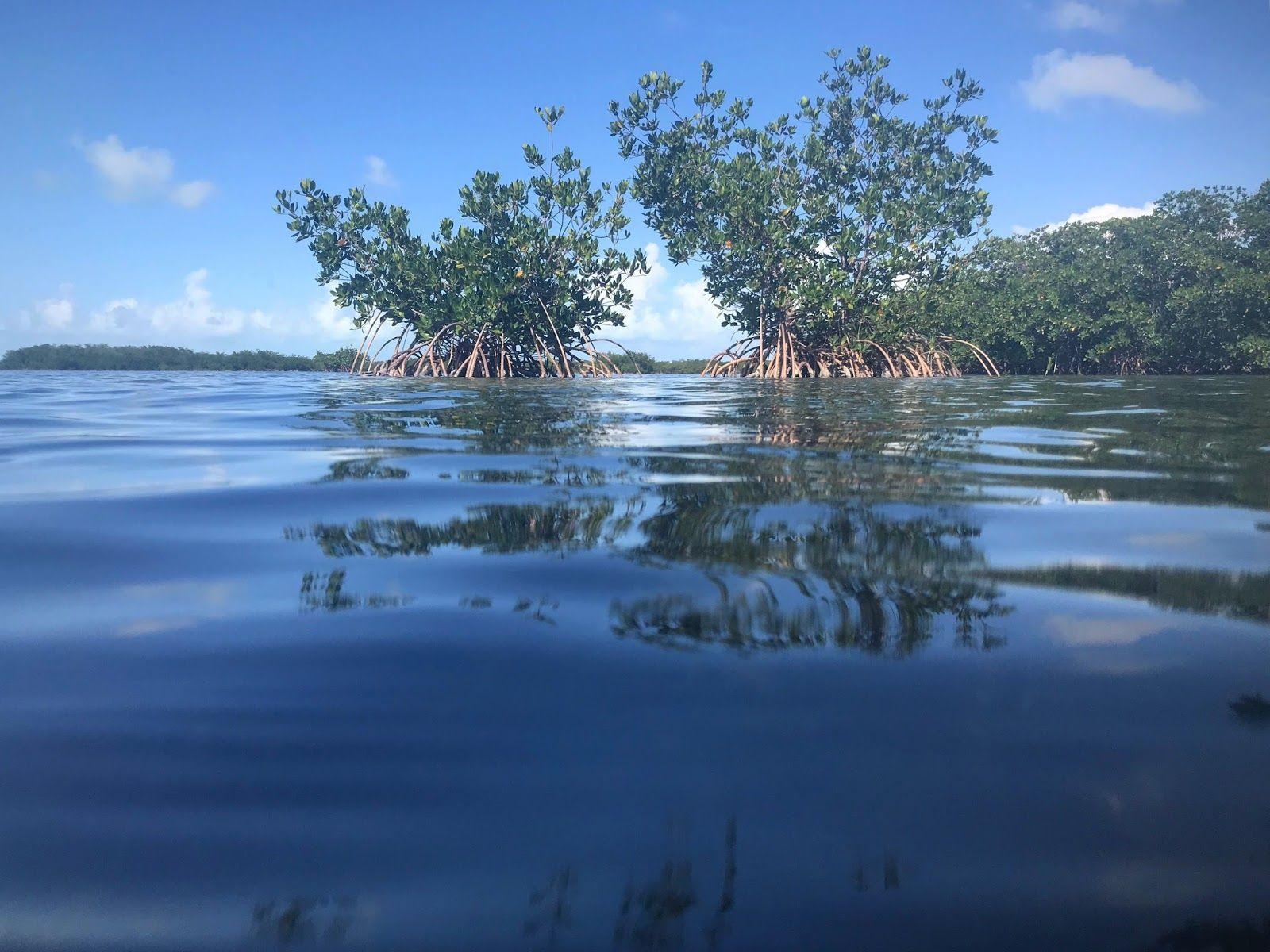 Biscayne National Park Wallpapers - Wallpaper Cave