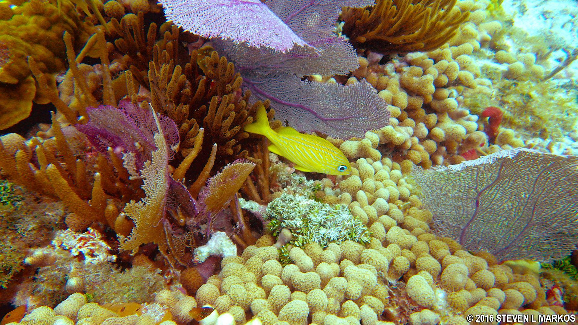 Biscayne National Park Wallpapers - Wallpaper Cave