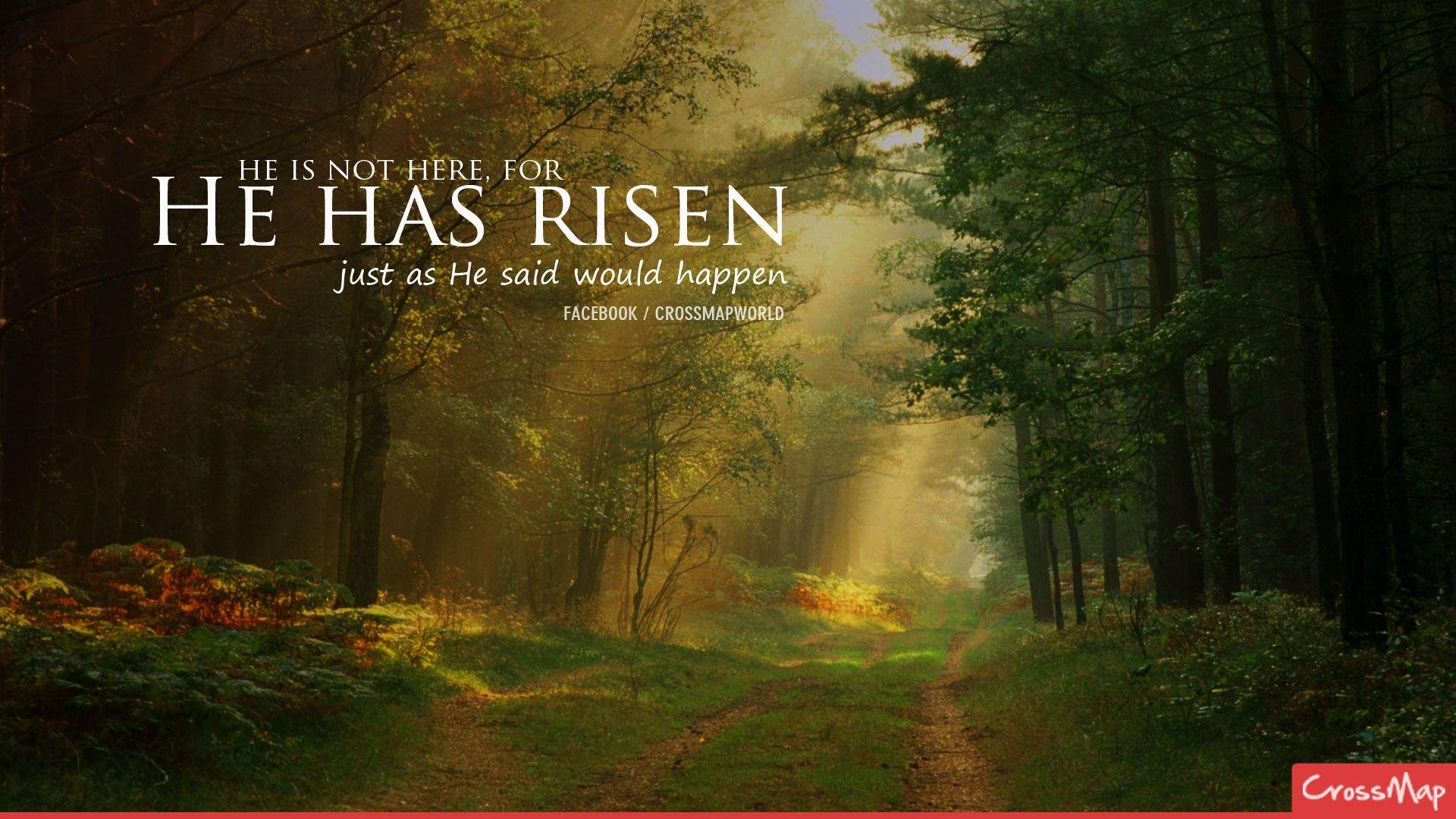 he is risen background 12. Background Check All
