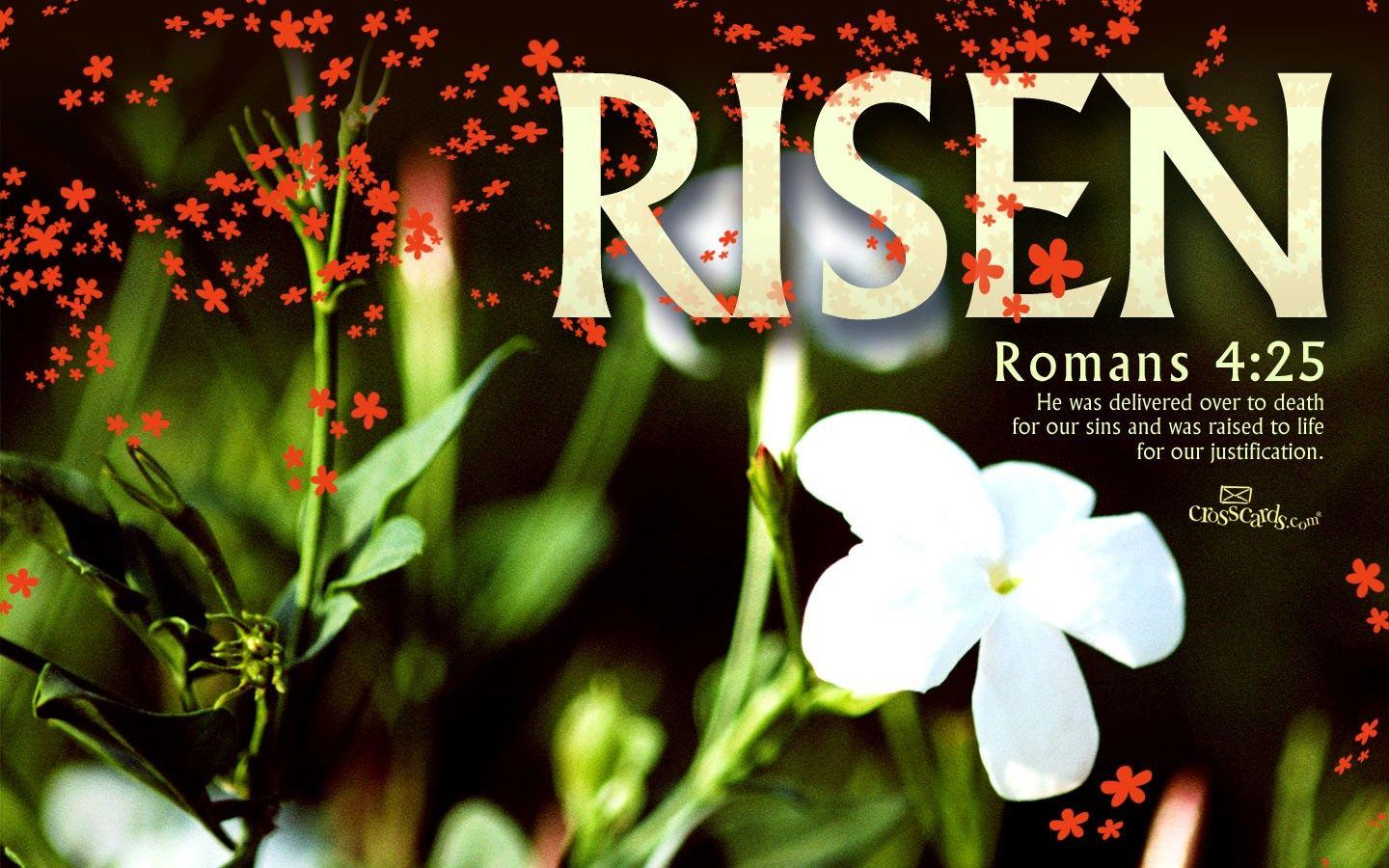 Risen Verses and Scripture Wallpaper for Phone or Computer