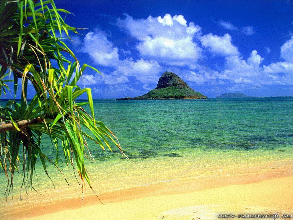 Hawaii wallpaper 2