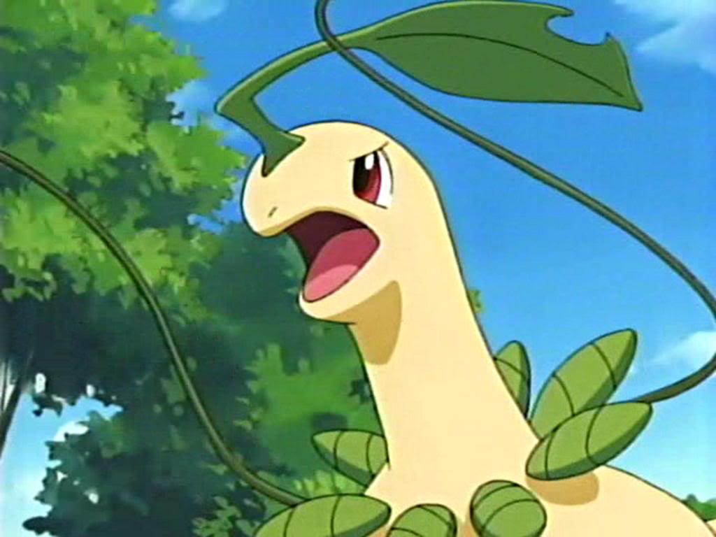And we can't forget Bayleef. bayleef. Grass type