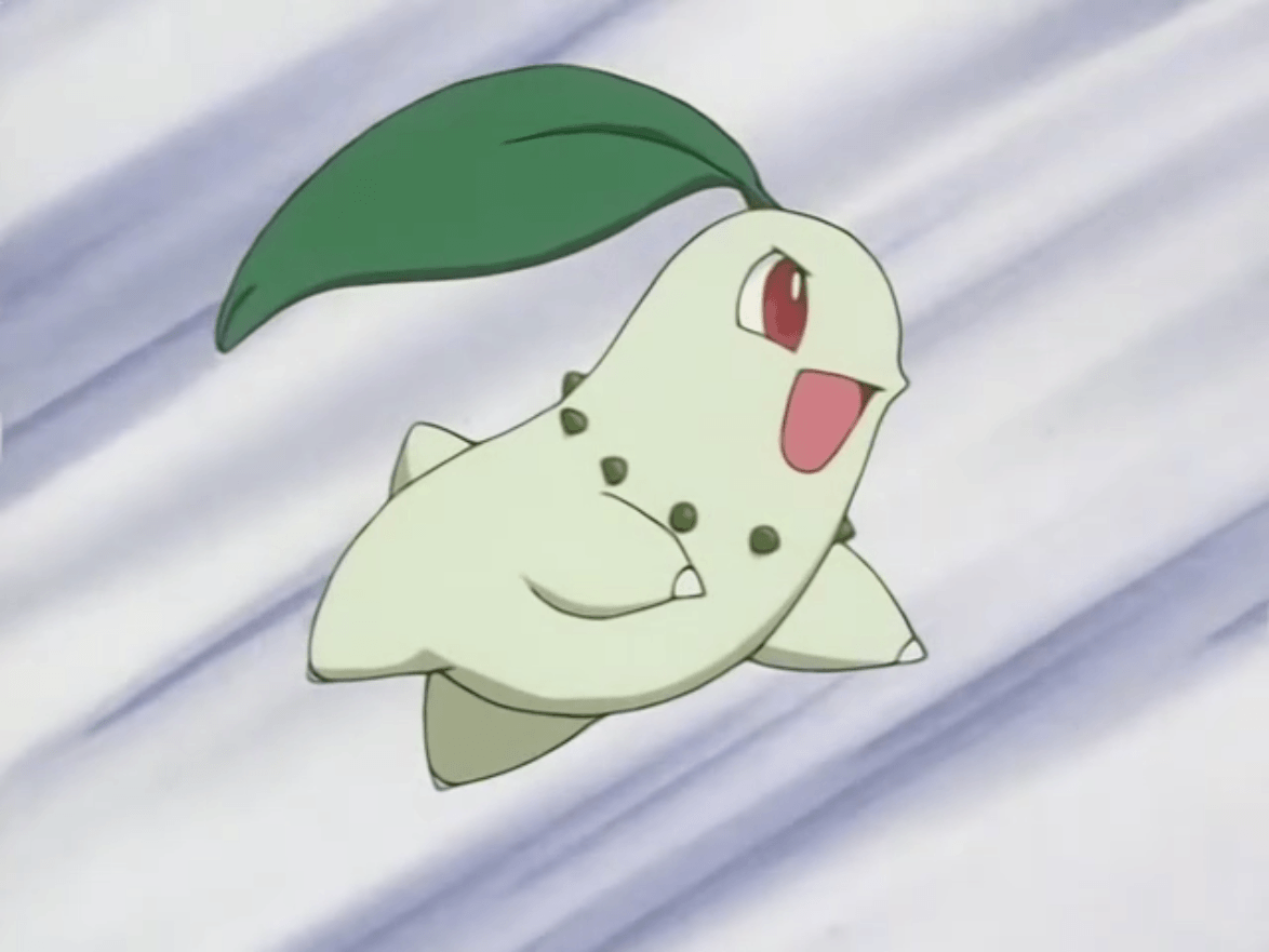 Ash Chikorita.png. Pokémon