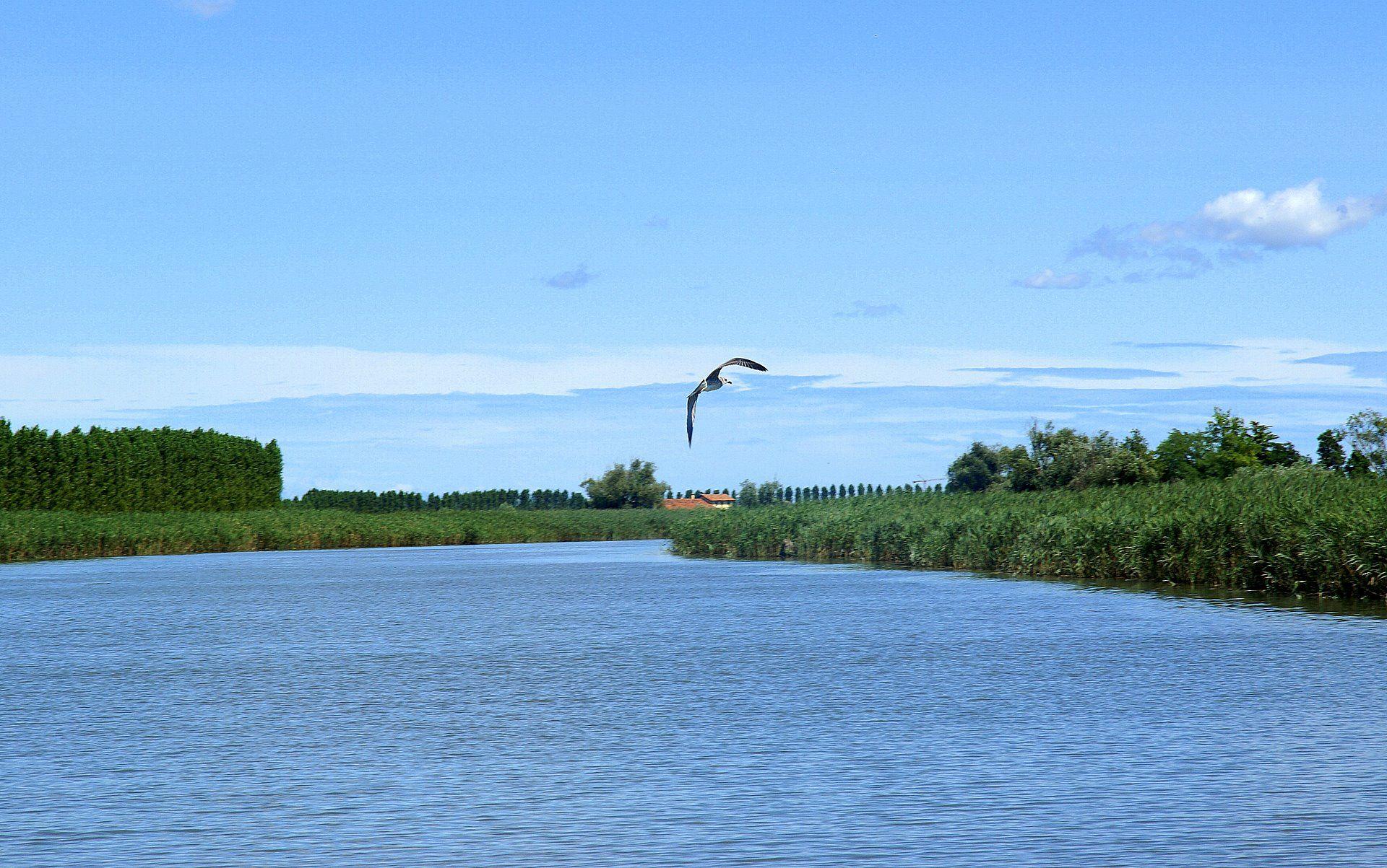 River Water Wallpaper HD 25875