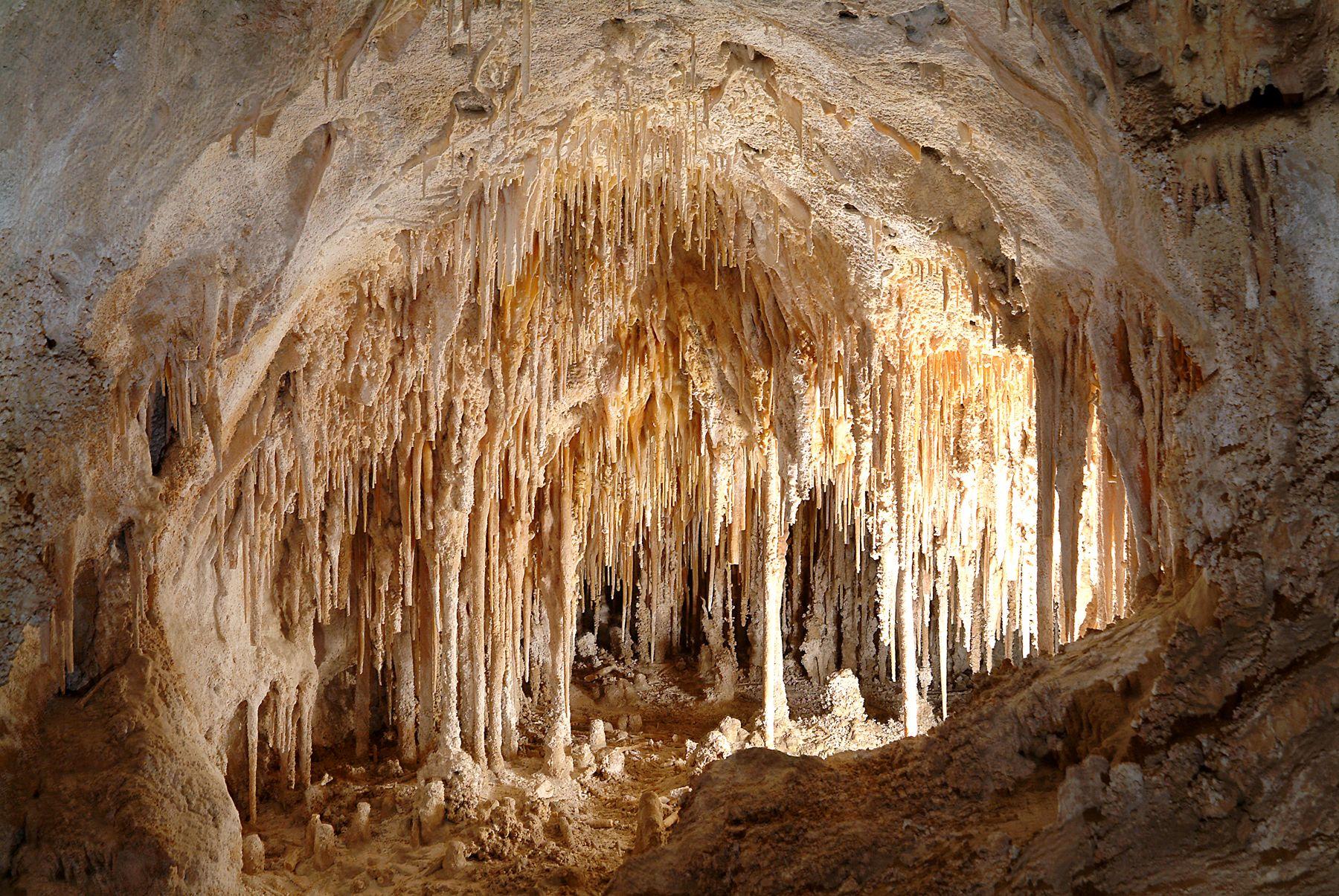Carlsbad Caverns National Park Park in New Mexico