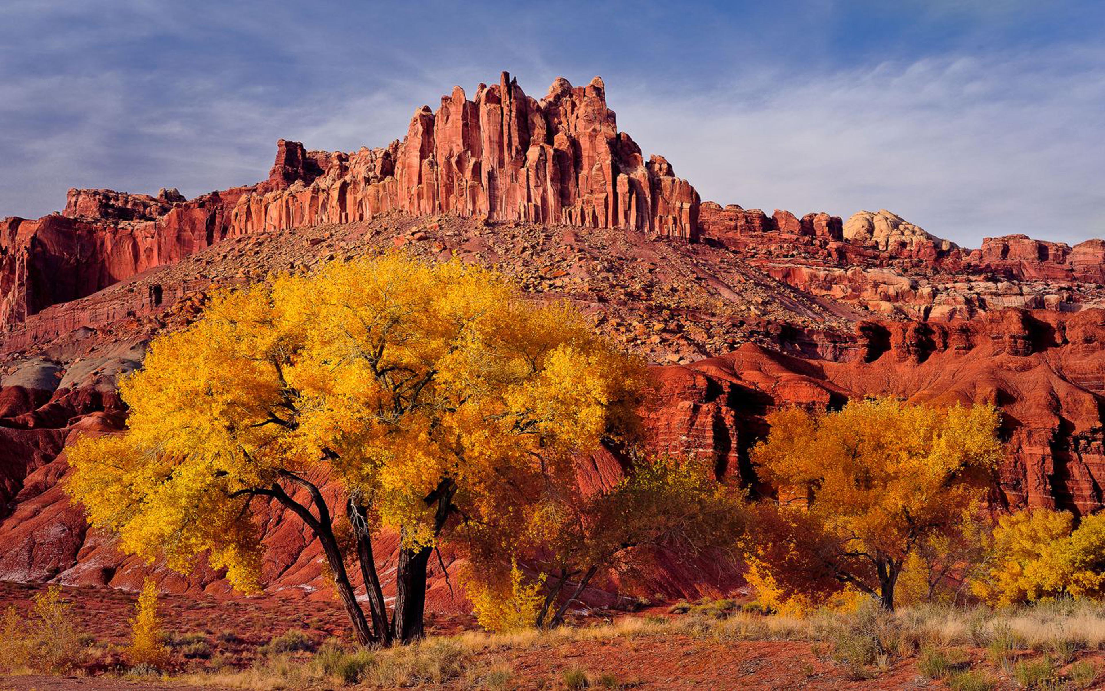 Autumn Landscape National Park In Utah. (caters) Usa Desktop HD