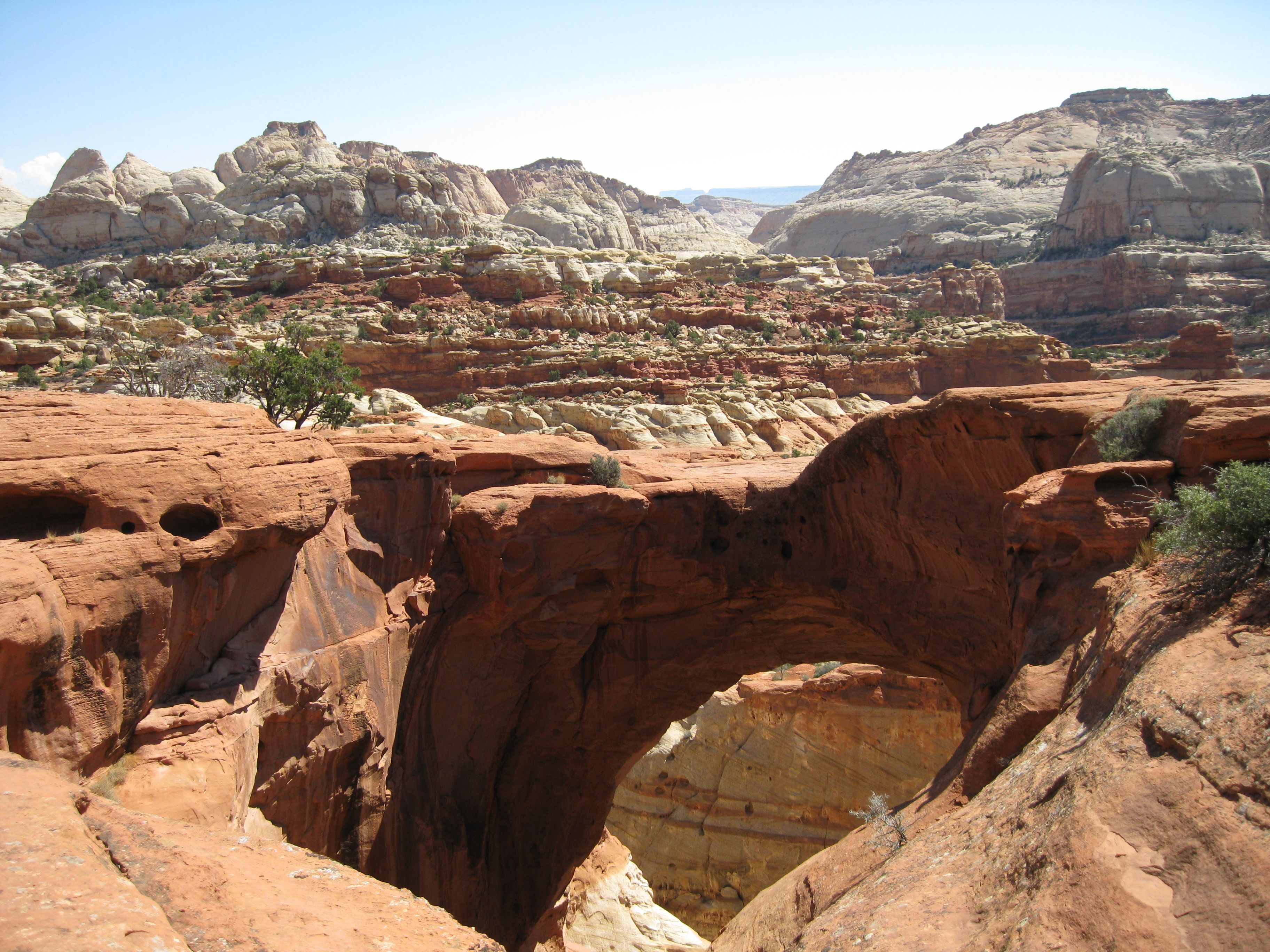 Cassidy Arch, Capitol Reef National