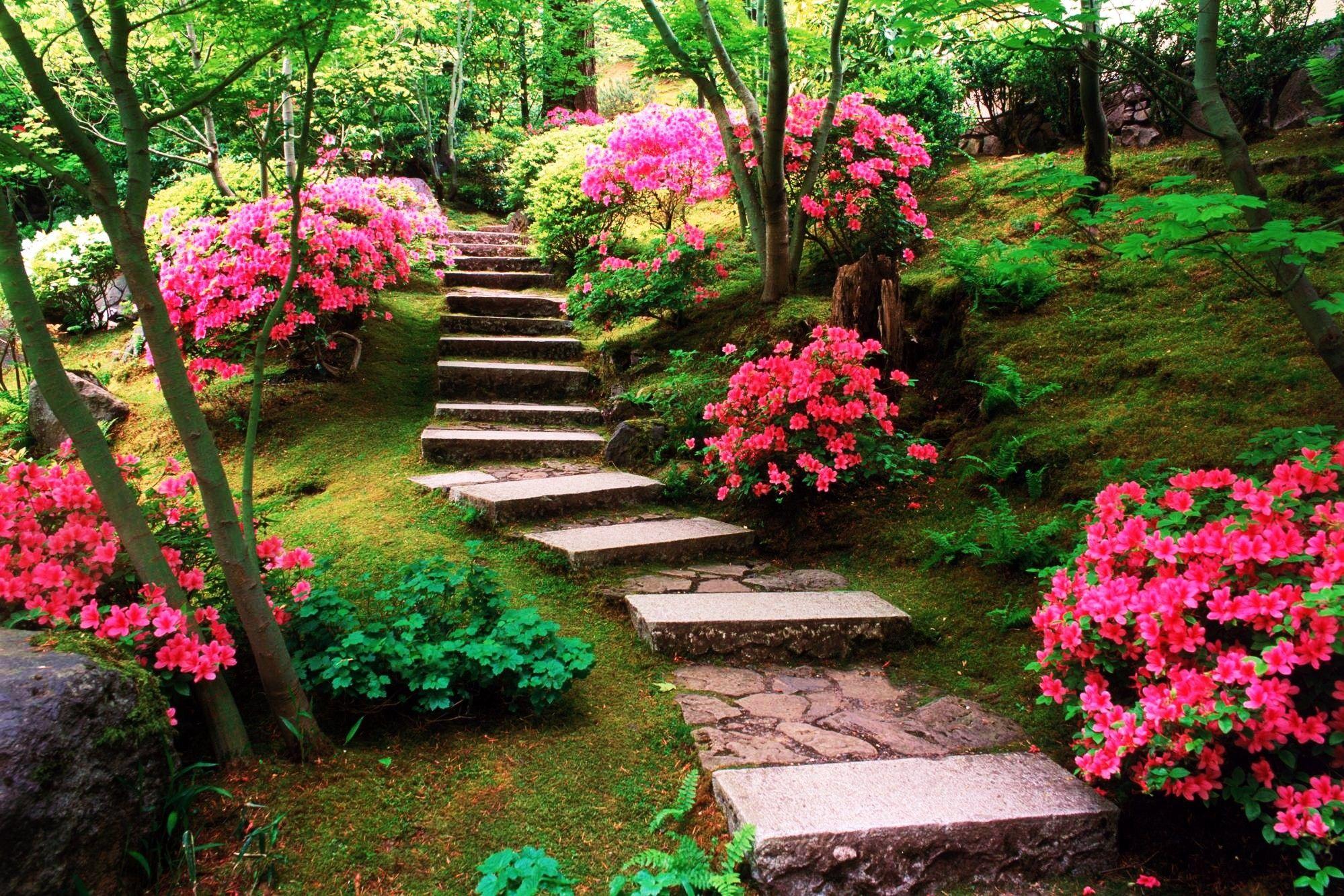 Other: Steps Blooms Flowers Pink Stairs Red Trees Garden HD