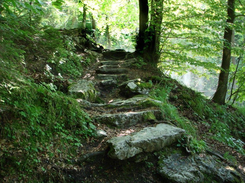 Forests: Nature Stony Greenwood Stone Steps Forest Wallpaper HD