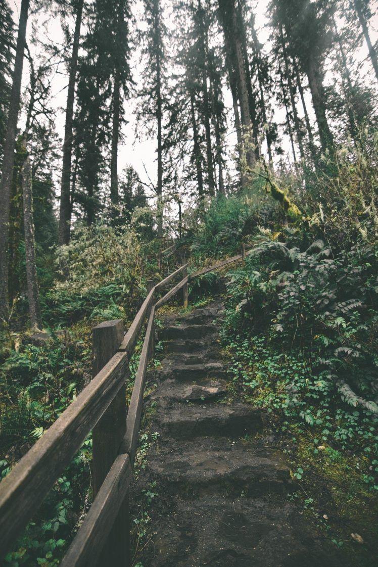 steps, Fence, Trees, Bushes, Oregon Wallpaper HD / Desktop