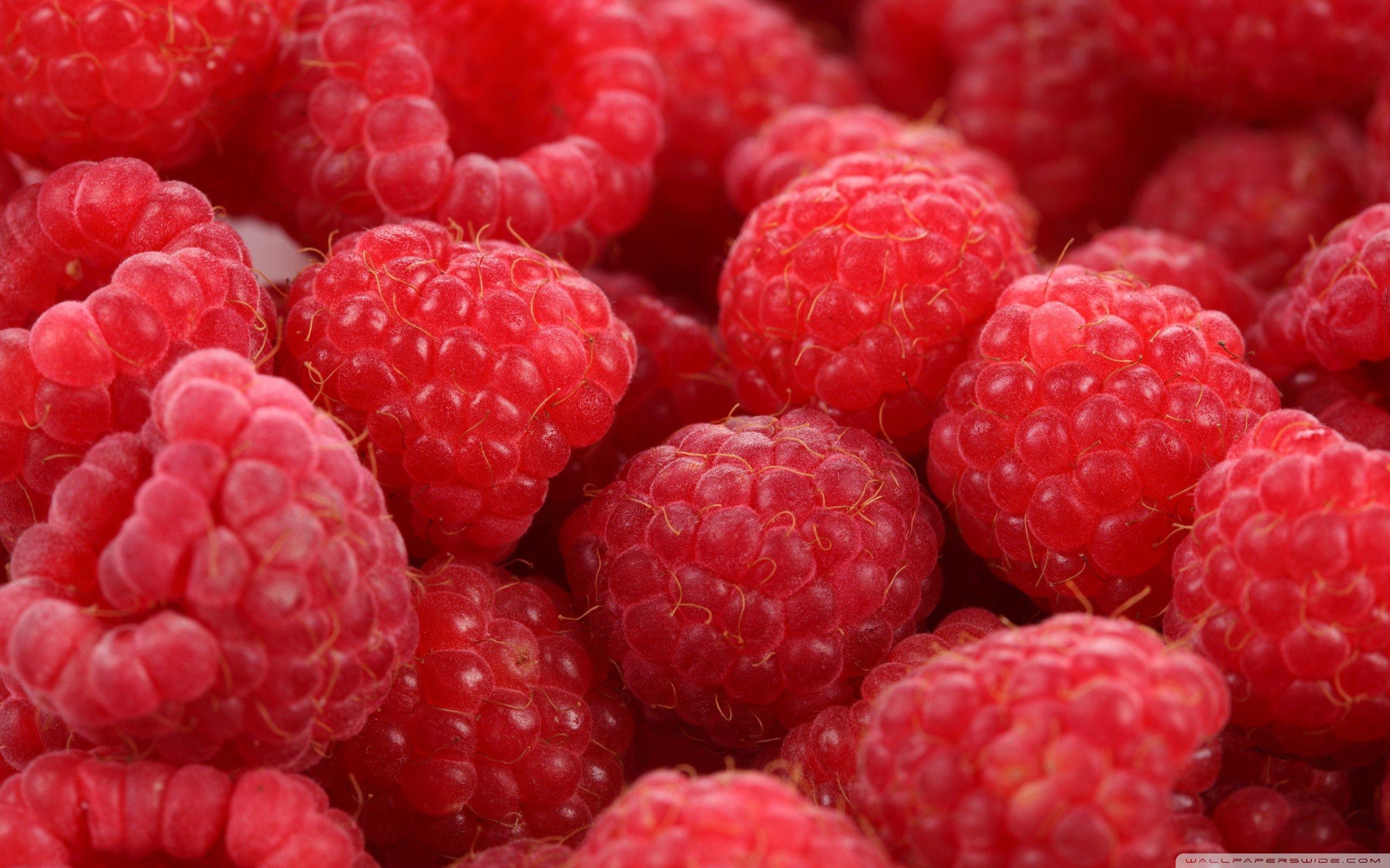 Raspberry Wallpapers  Top Free Raspberry Backgrounds  WallpaperAccess