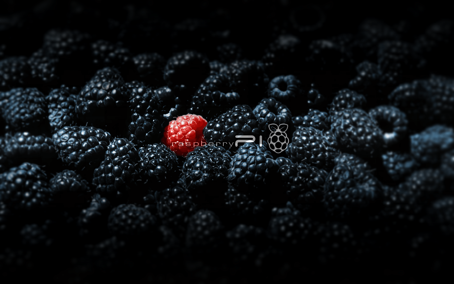 Raspberries Wallpapers - Wallpaper Cave