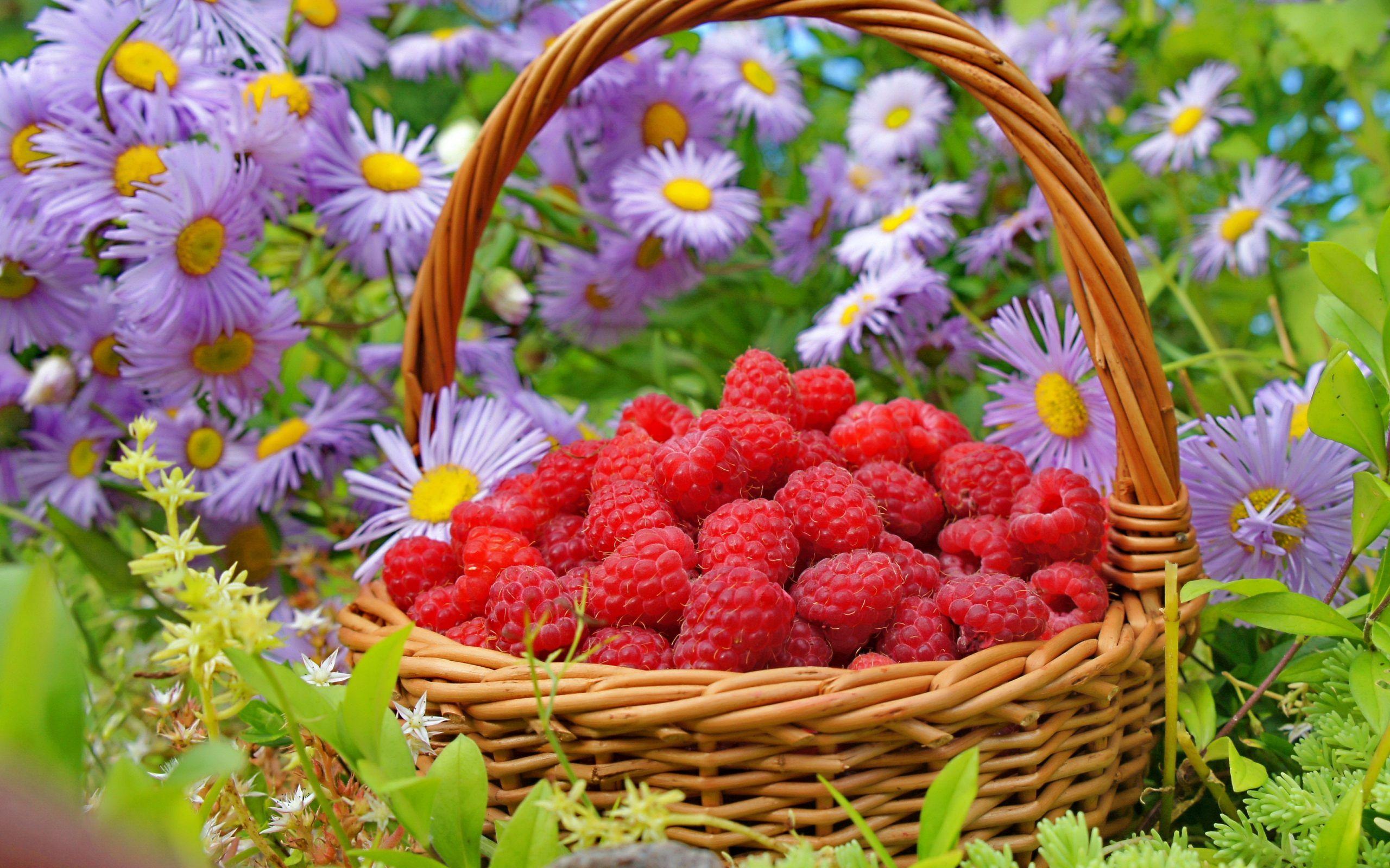 Raspberries Wallpapers - Wallpaper Cave