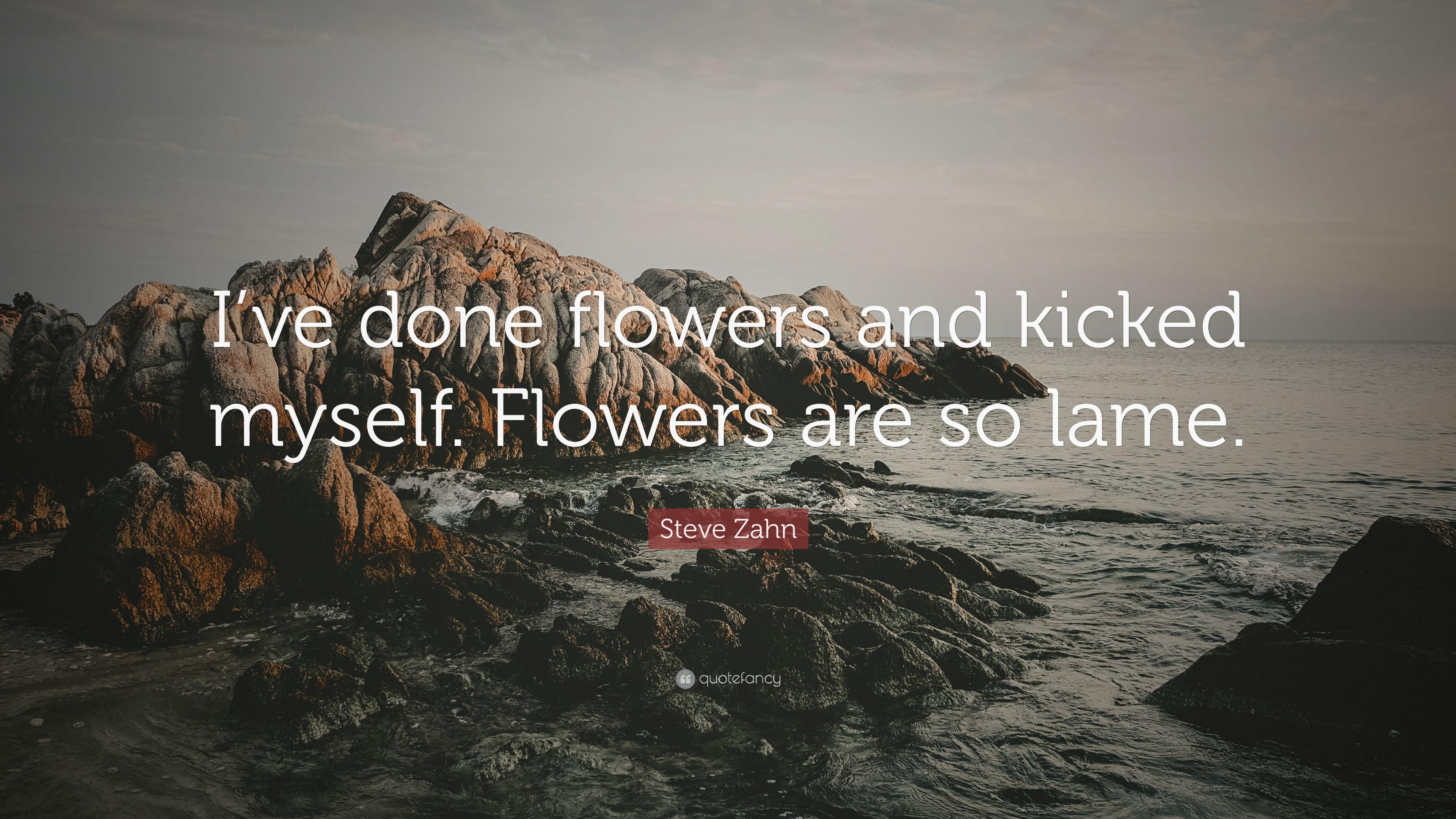 Steve Zahn Quote: “I've done flowers and kicked myself. Flowers
