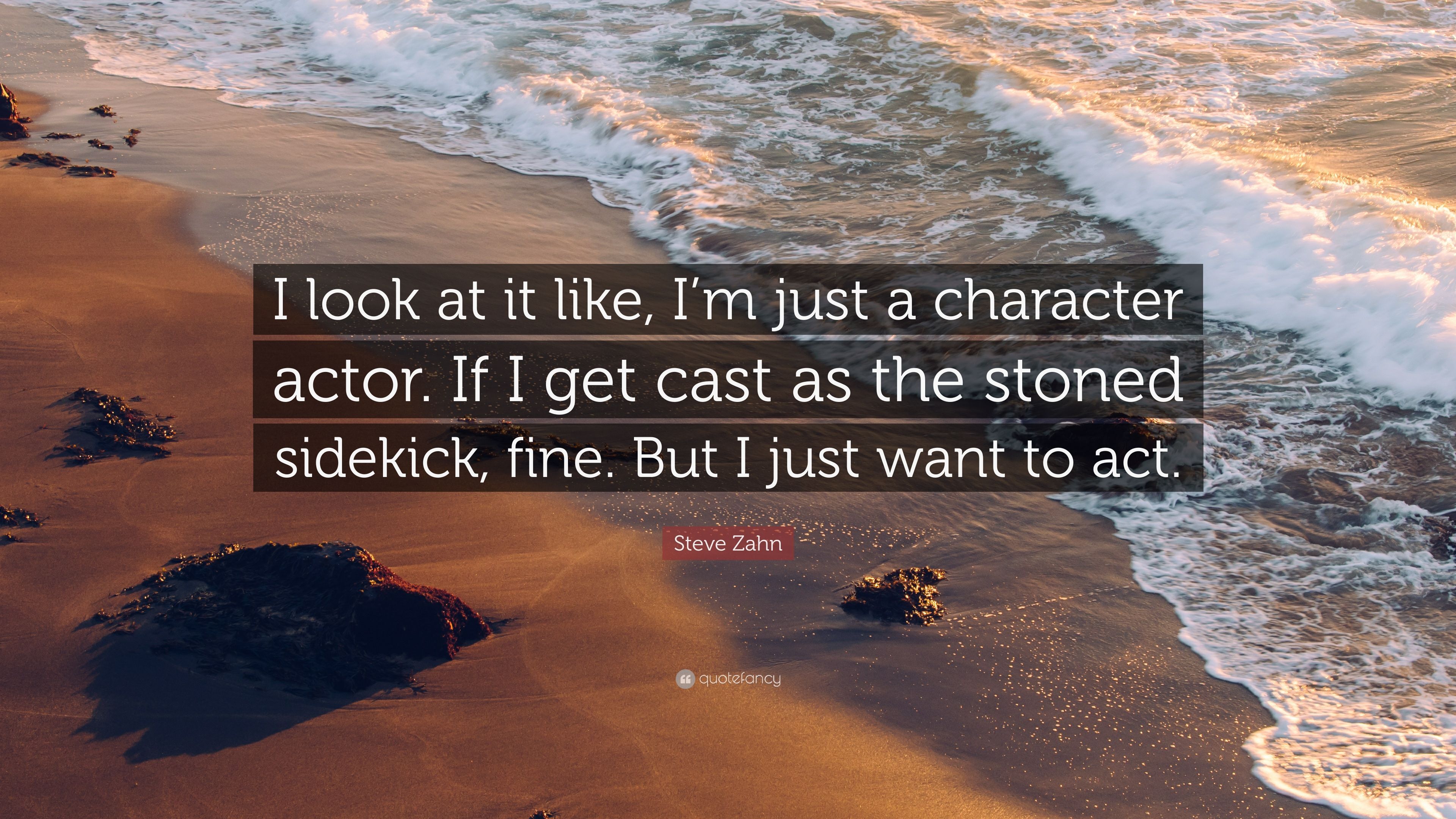 Steve Zahn Quote: “I look at it like, I'm just a character actor