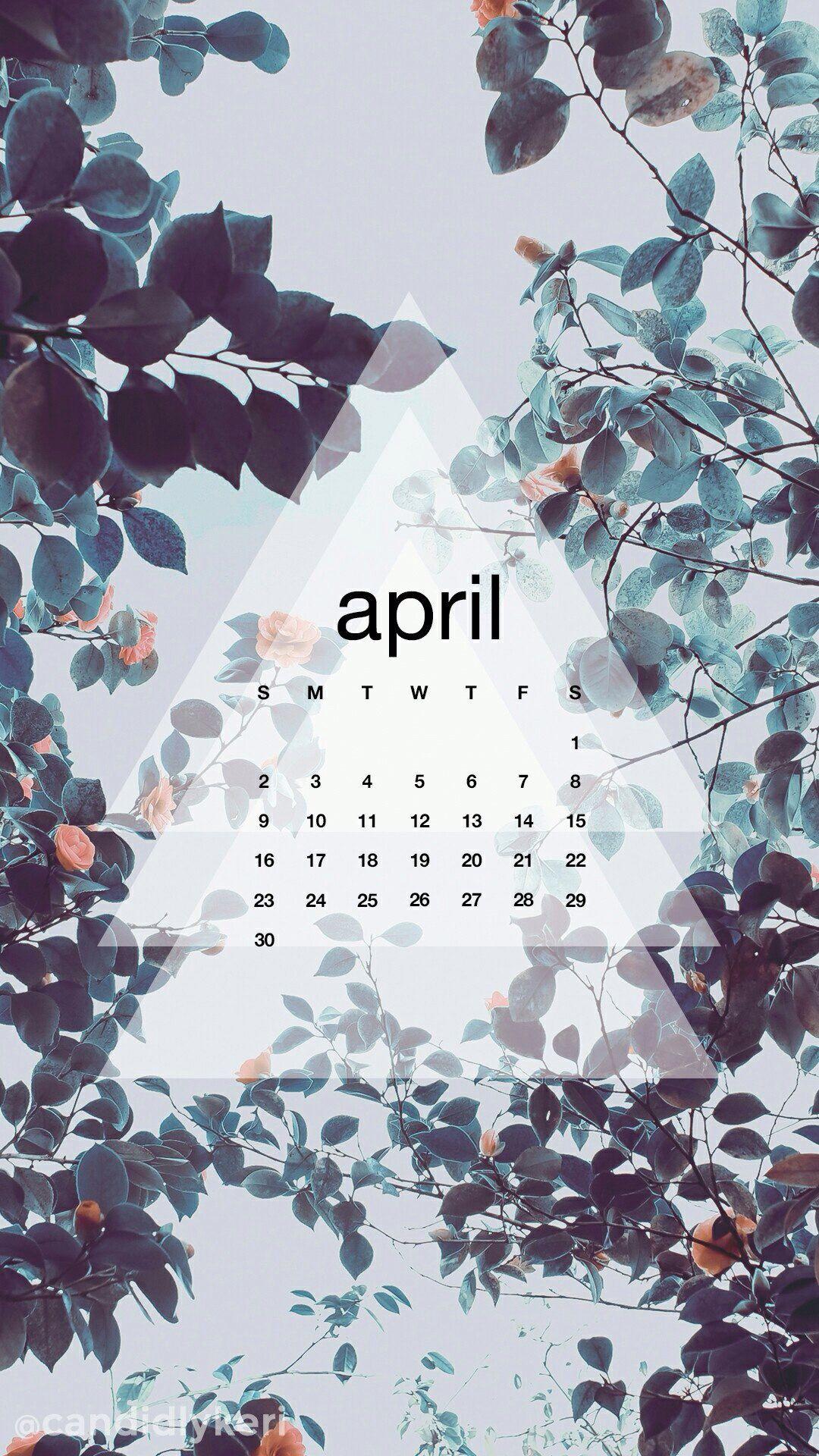 Floral blue calendar. iPhone wallpaper. Wallpaper