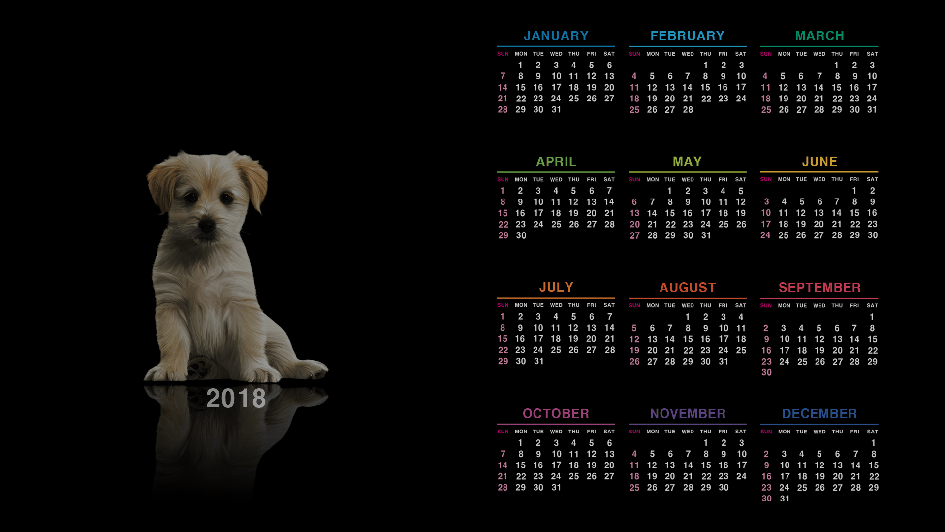 calendar, #puppies, #dog. Wallpaper No. 599558