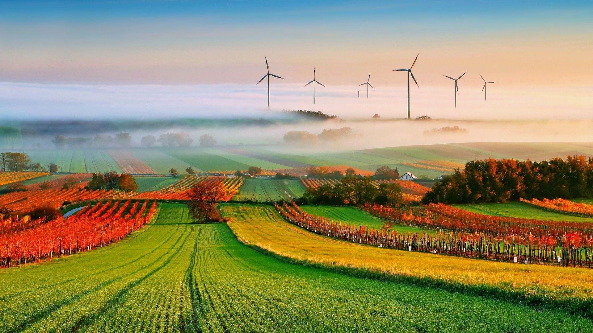 nature, Landscape, Trees, Clouds, Field, Mist, Hill, House