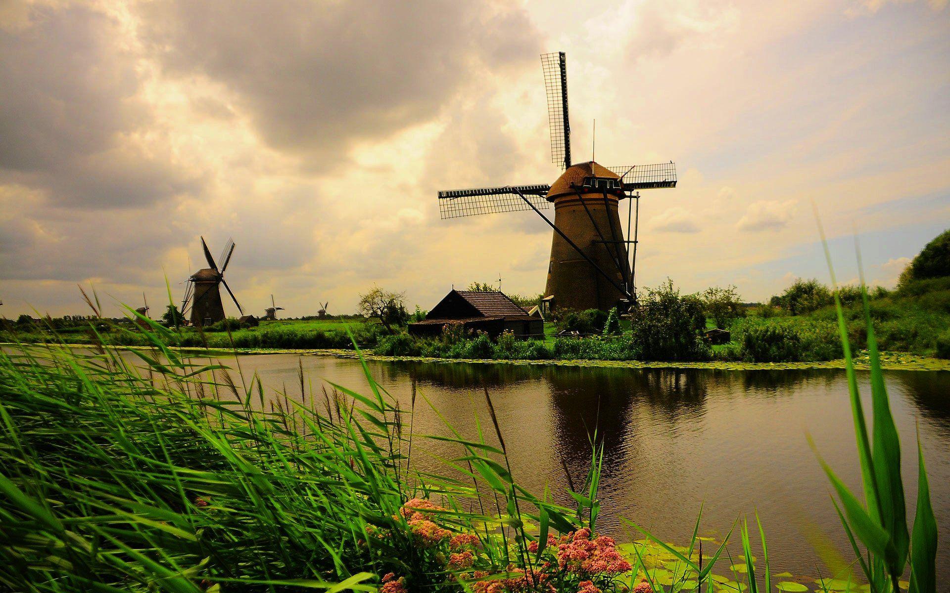 windmill wallpaper