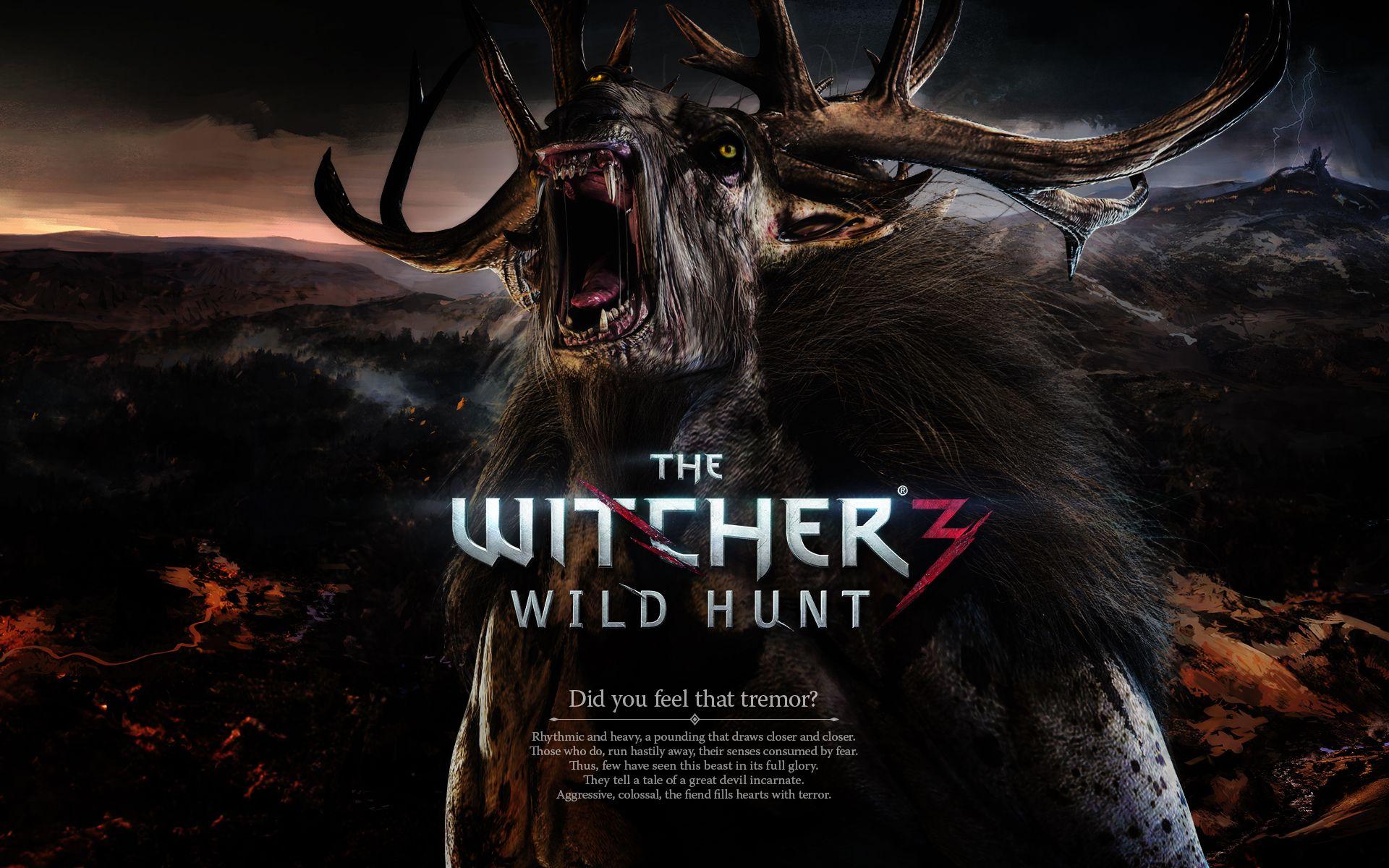 The Witcher 3 Wild Hunt Wallpaper, Top Beautiful The Witcher 3