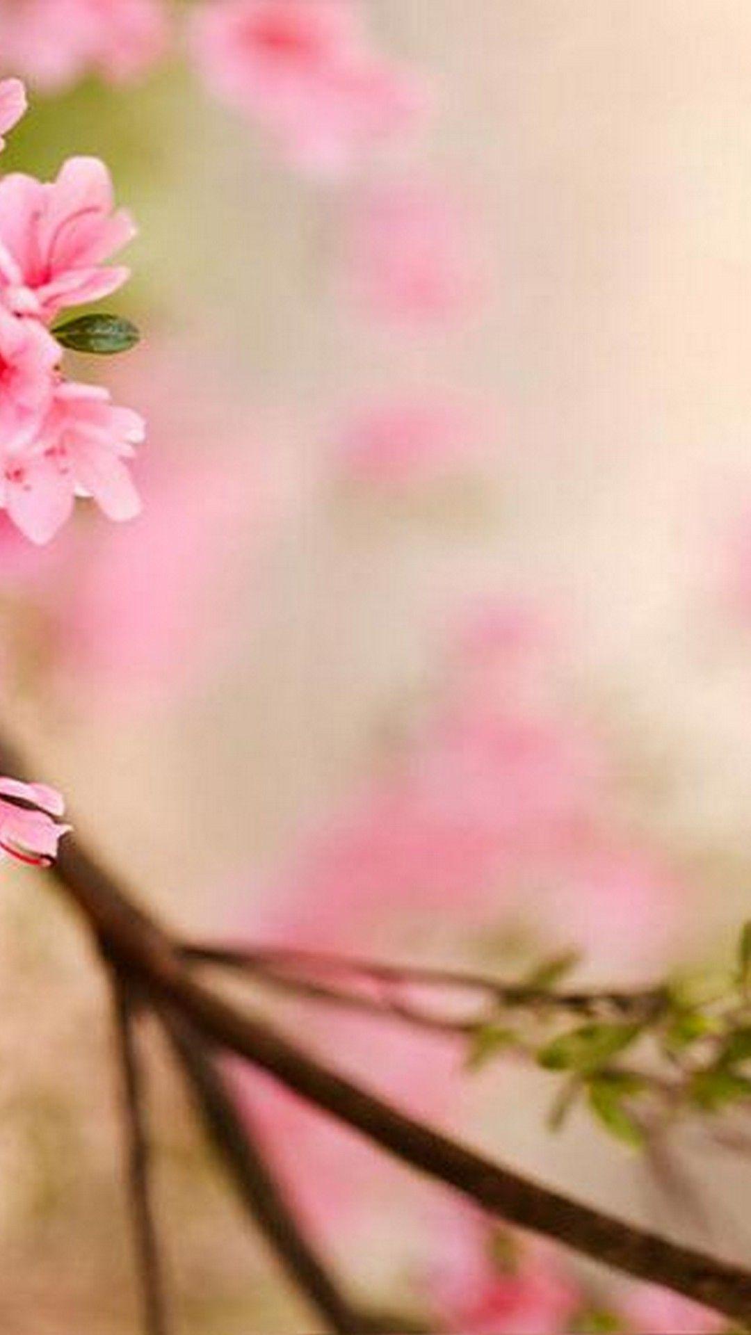 Spring Flowers Wallpaper For Android Android Wallpaper
