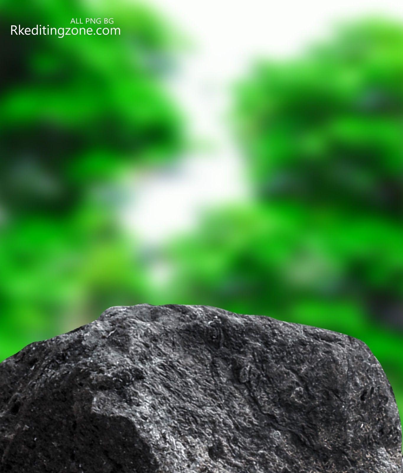 10000 of the Best Free Green Background in HD  Pixabay