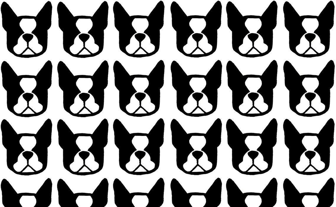 GIFT) Boston Terrier Wallpaper