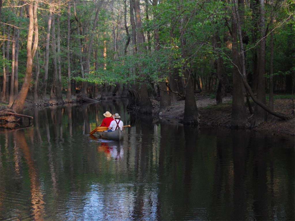 The 58 National Parks in the USA(*13): Congaree National Park