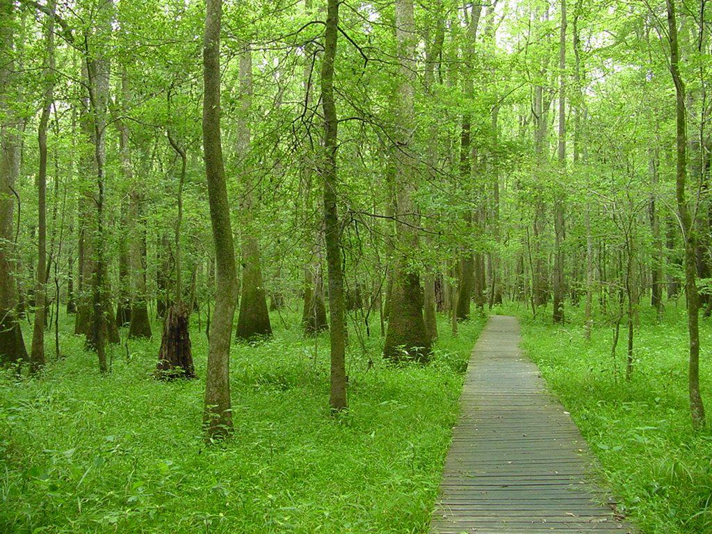 Scenic South Carolina