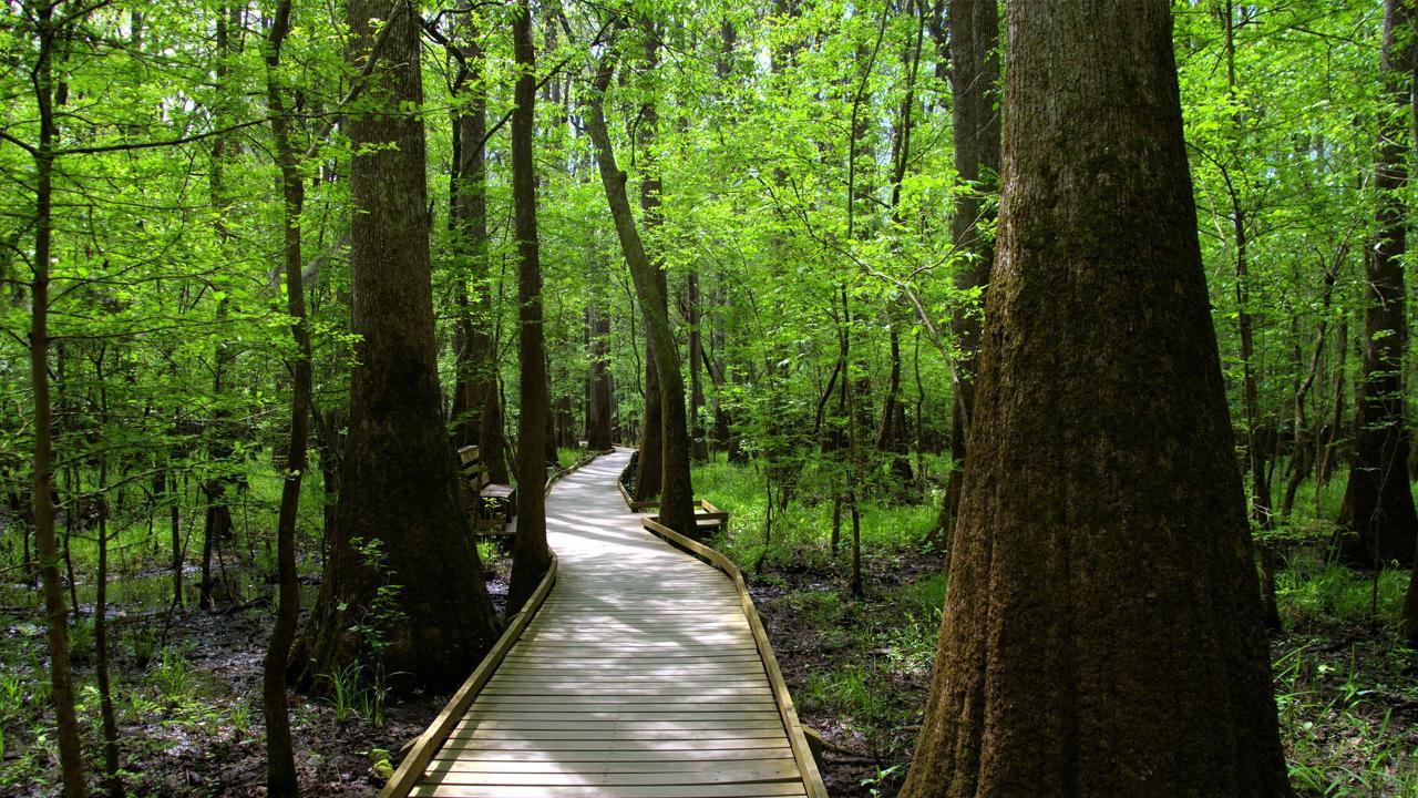 America's 58 National Parks National Park, South